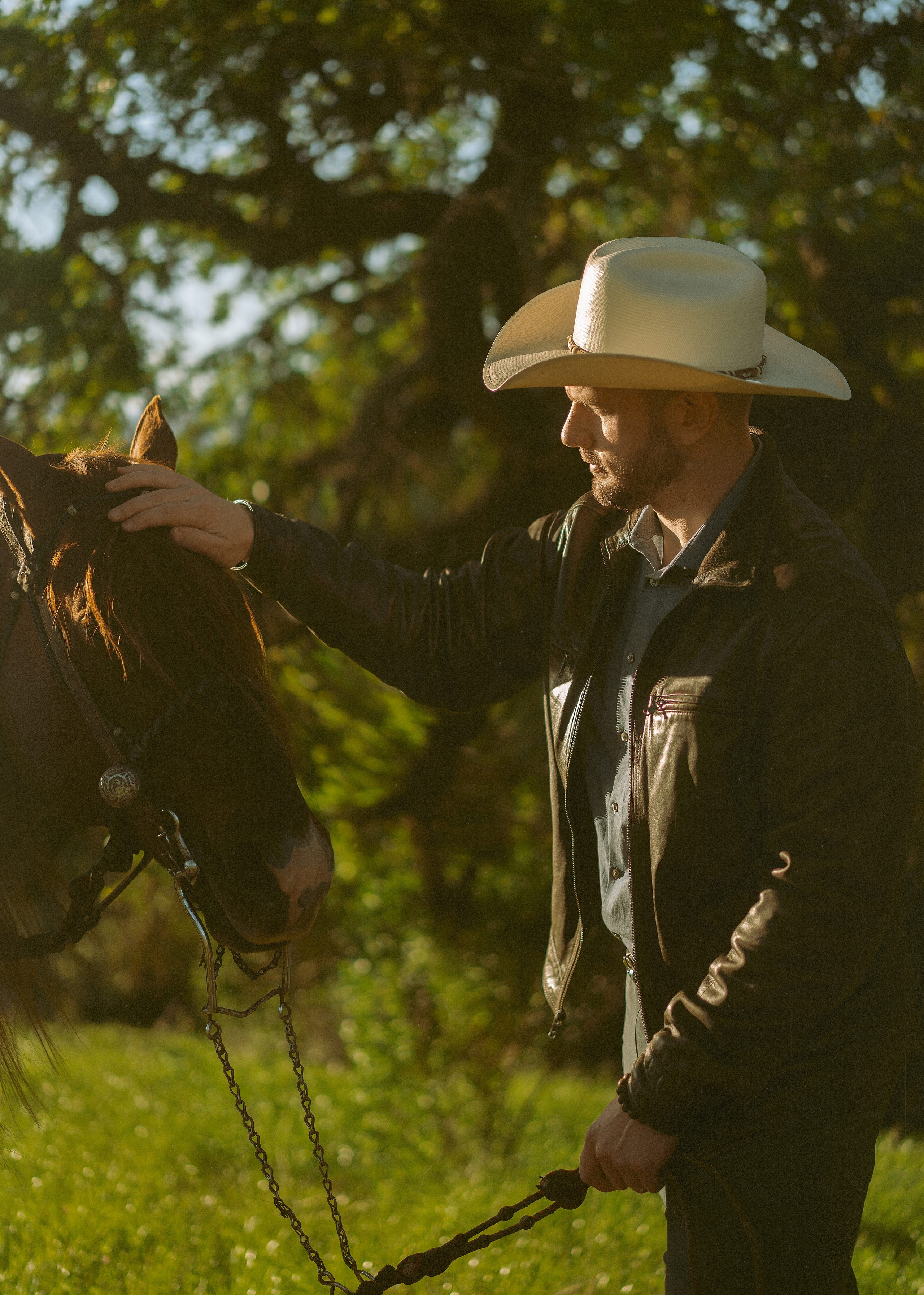Engagement with Horses, Napa, Northern California. Wedding Photography & Videography Team in California, Los Angeles, San Francisco, San Diego and Travel
