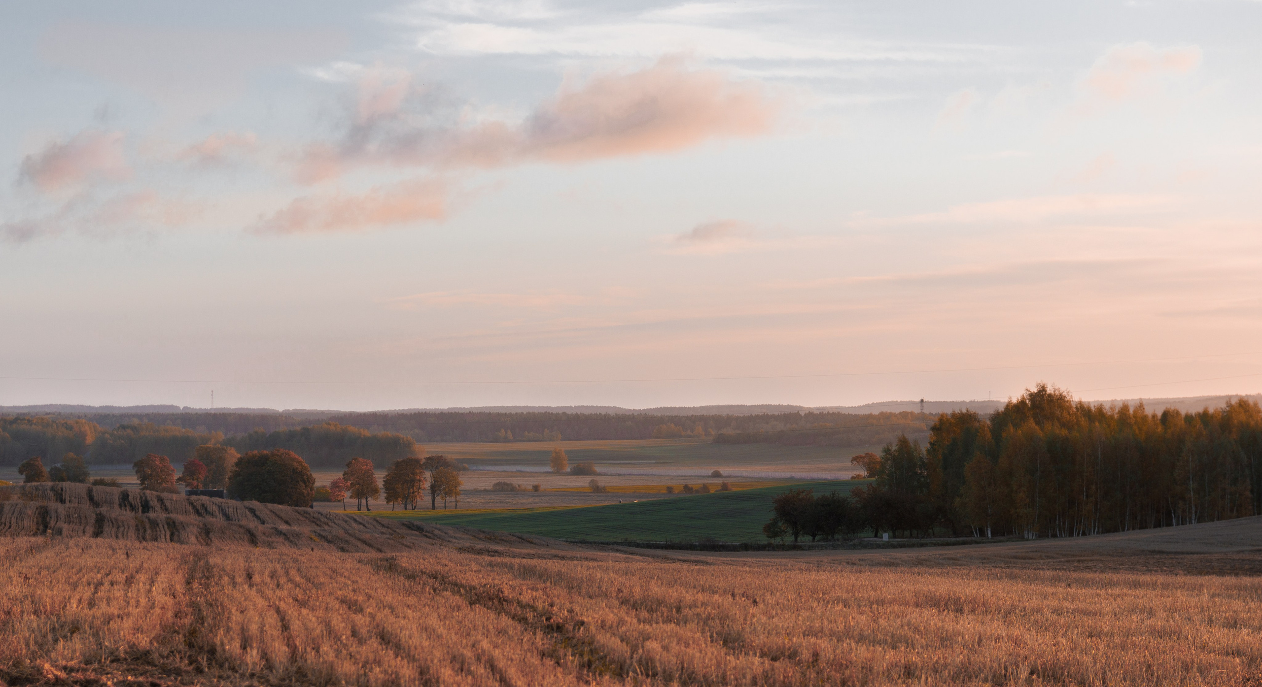 Landscape. Portrait and Street photographer in Vilnius Edgar Shaipunas