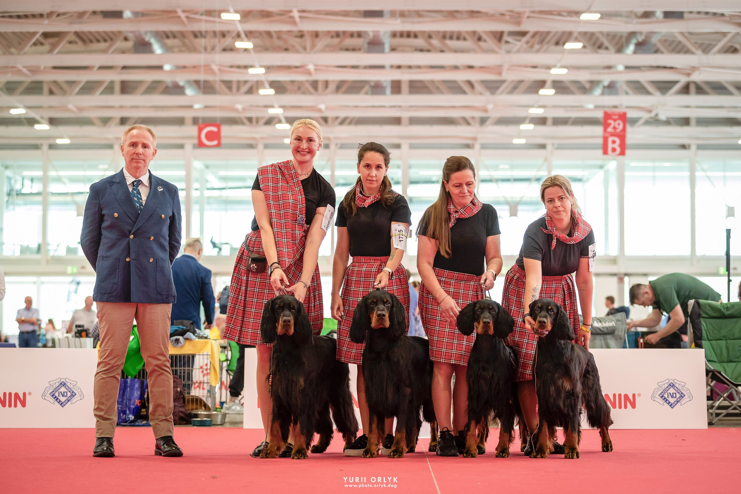 Dog Shows. Yurii Orlyk Photography