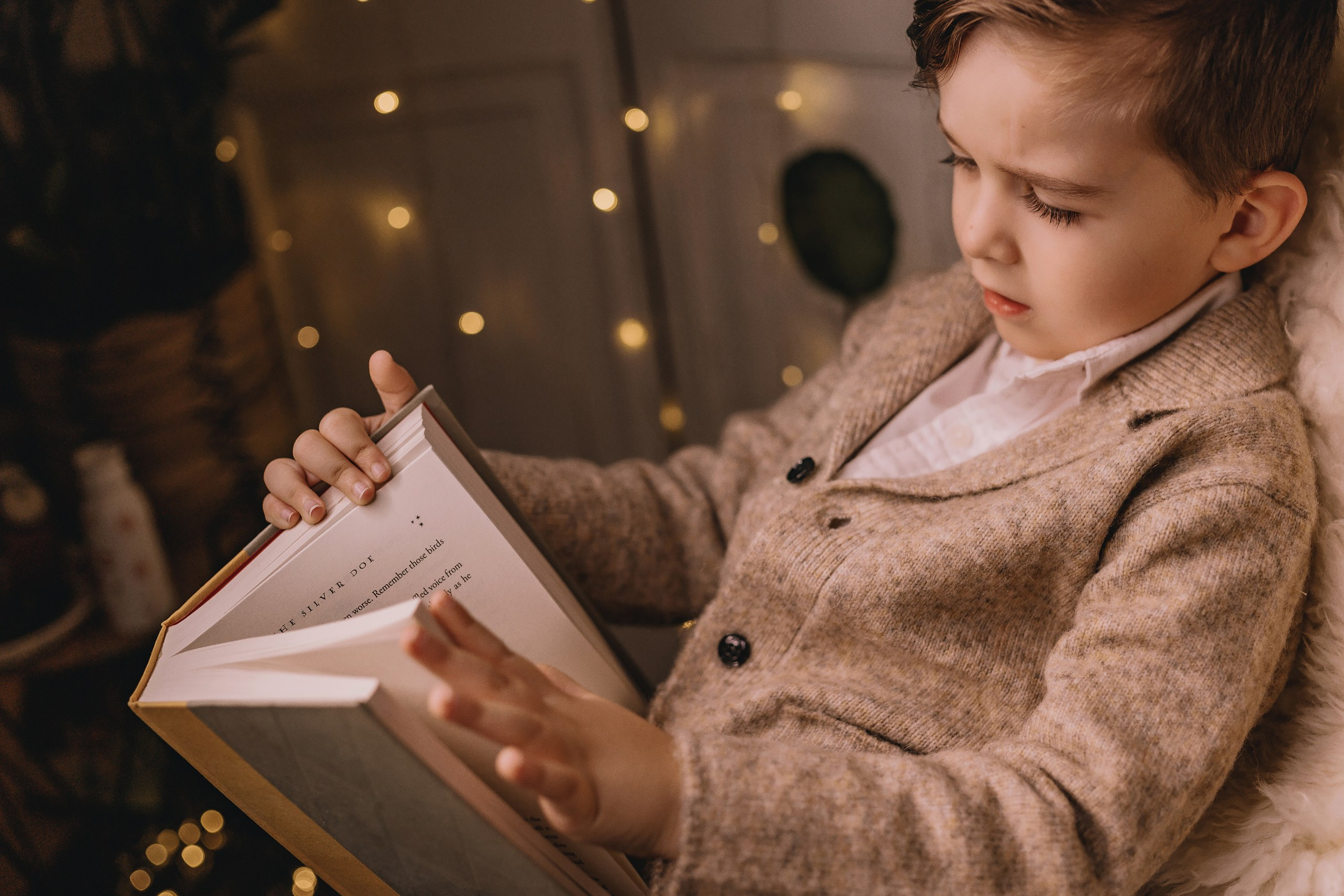 11.16.2025 Christmas Photoshoot. Wedding family event photographer in Chicago Nick Yushevich