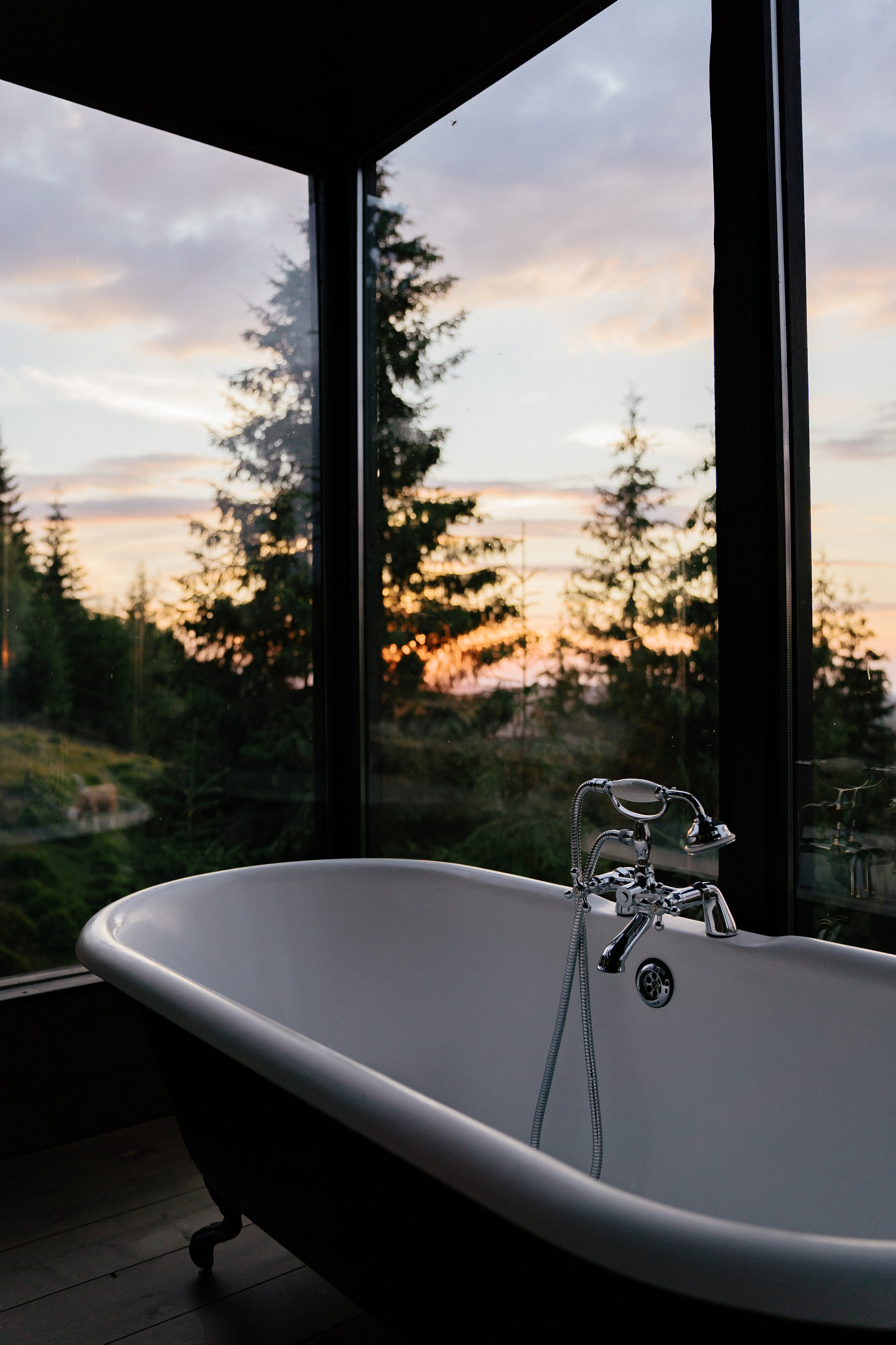 Airbnb Photos. Patricia Morenci — Mountain Adventures for the Wild at Heart