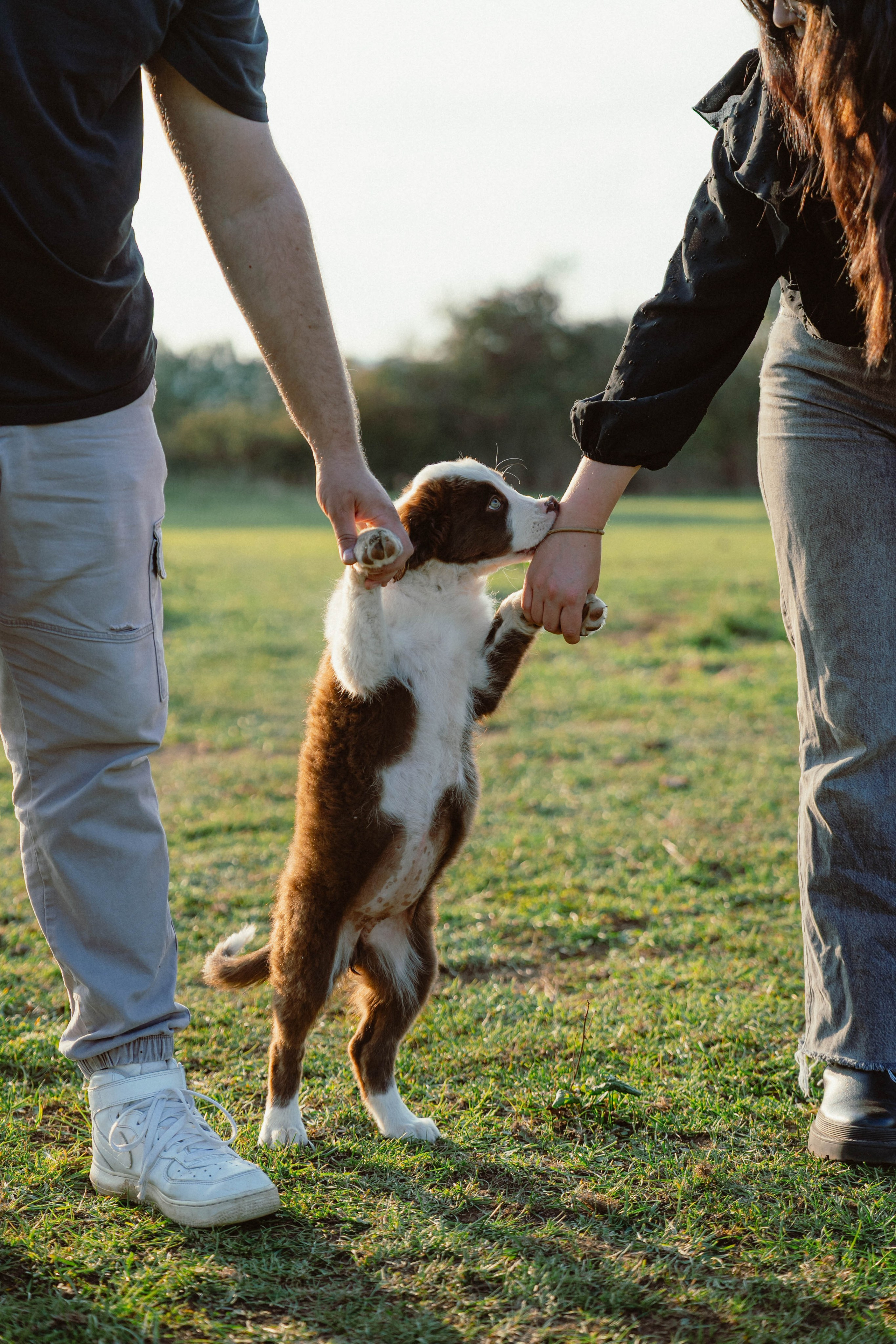 Victoria & Mehdi. Weeding photographer / event / portrait