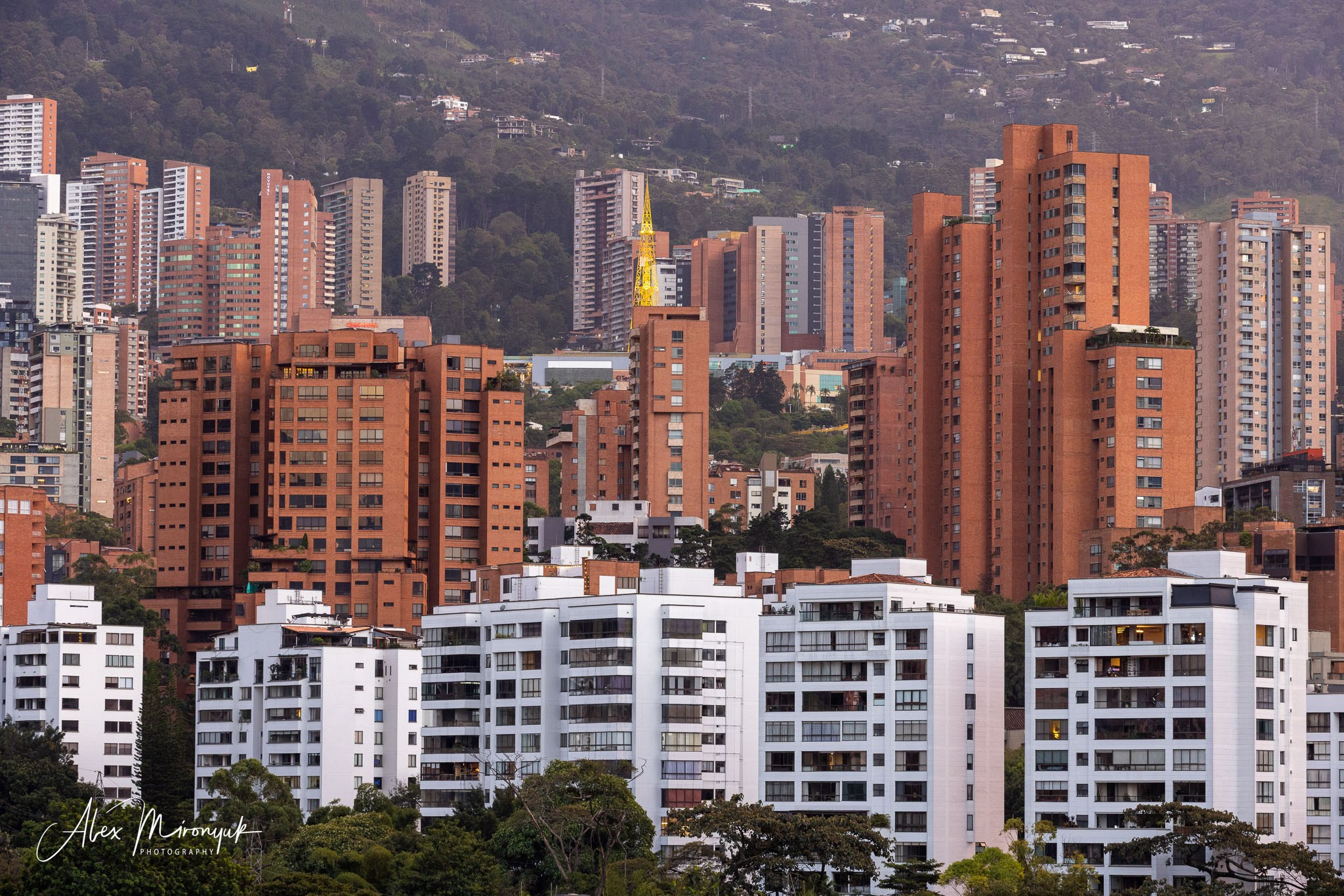 Colombia in Style. Pet, Senior, Landscape, portrait studio, photographer in Miami and Sou