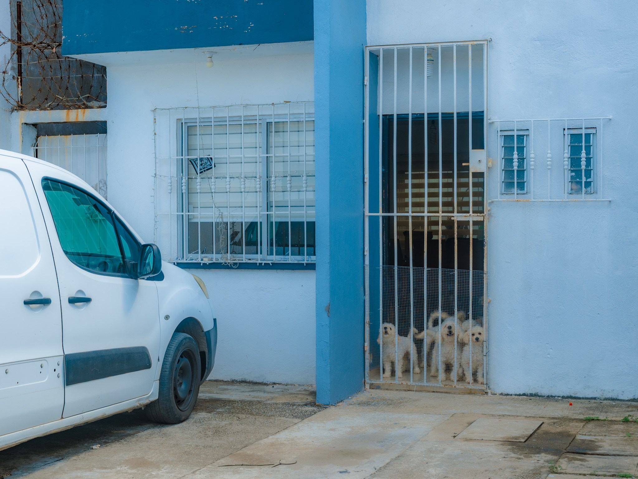 Estrellas de Buena Vista. 2025. Fotógrafo en Villahermosa | ERALPUCHE