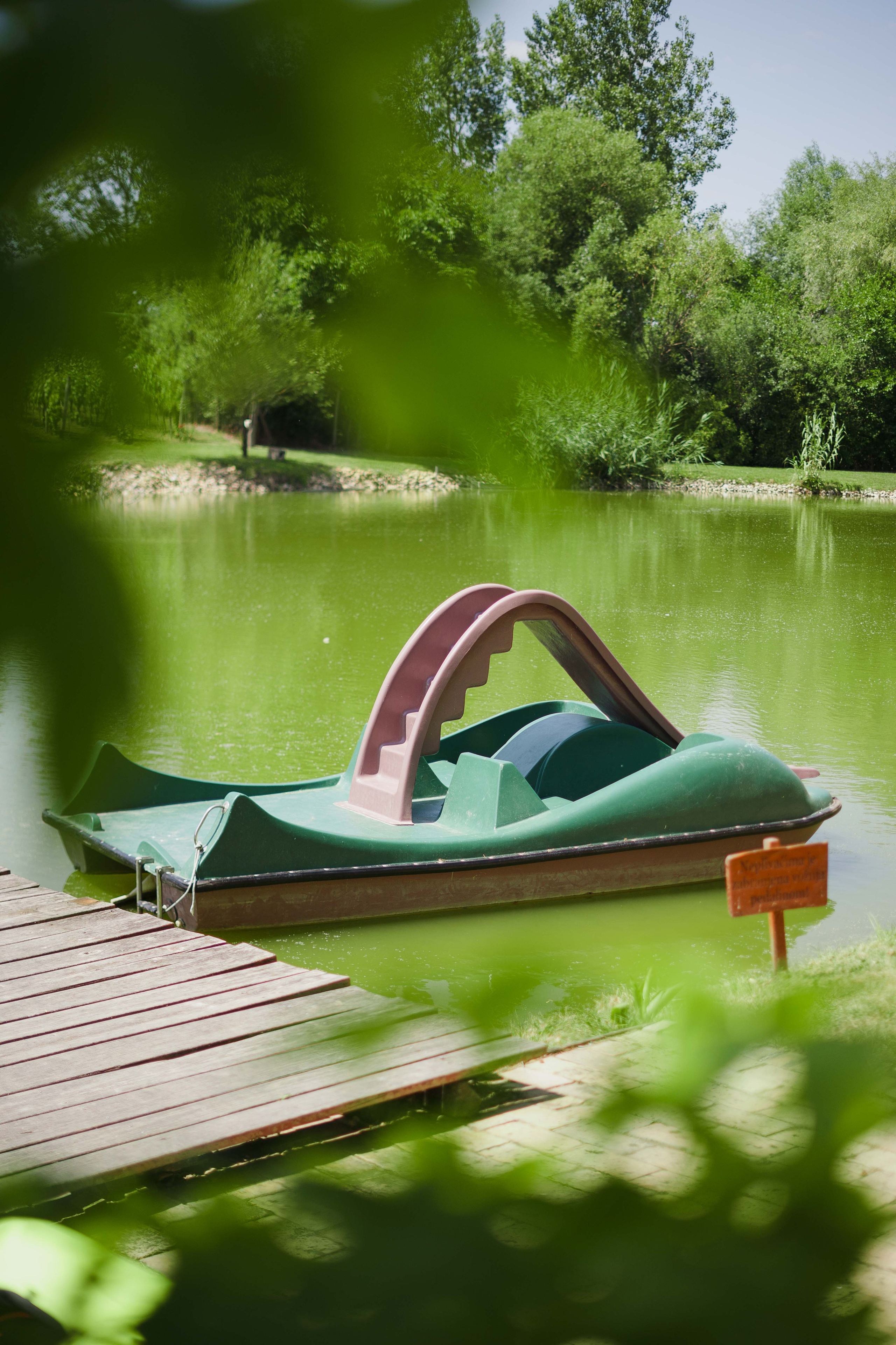 FiveTran Summer Picnic. Жуков Студио