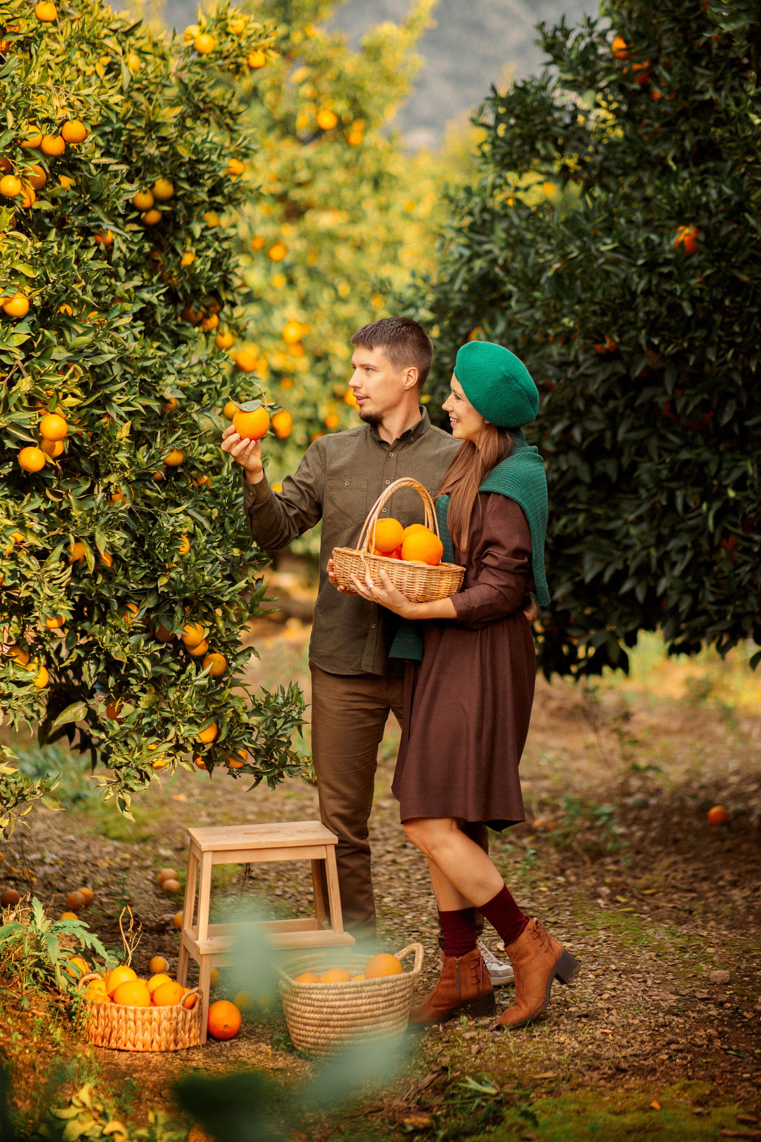 Family photo session in the orange garden. Professional Photographer in Alanya, Side, Belek, Antalya. Turkiye