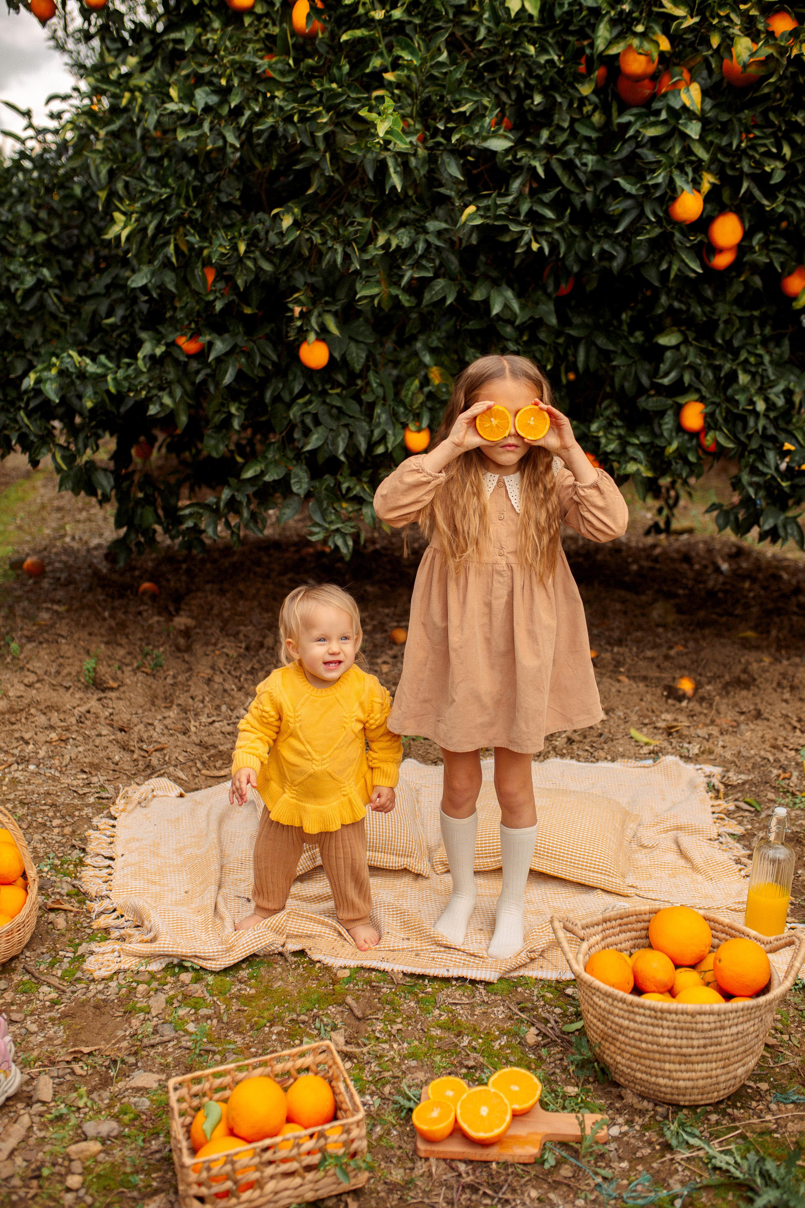 Family photo session in the orange garden. Professional Photographer in Alanya, Side, Belek, Antalya. Turkiye