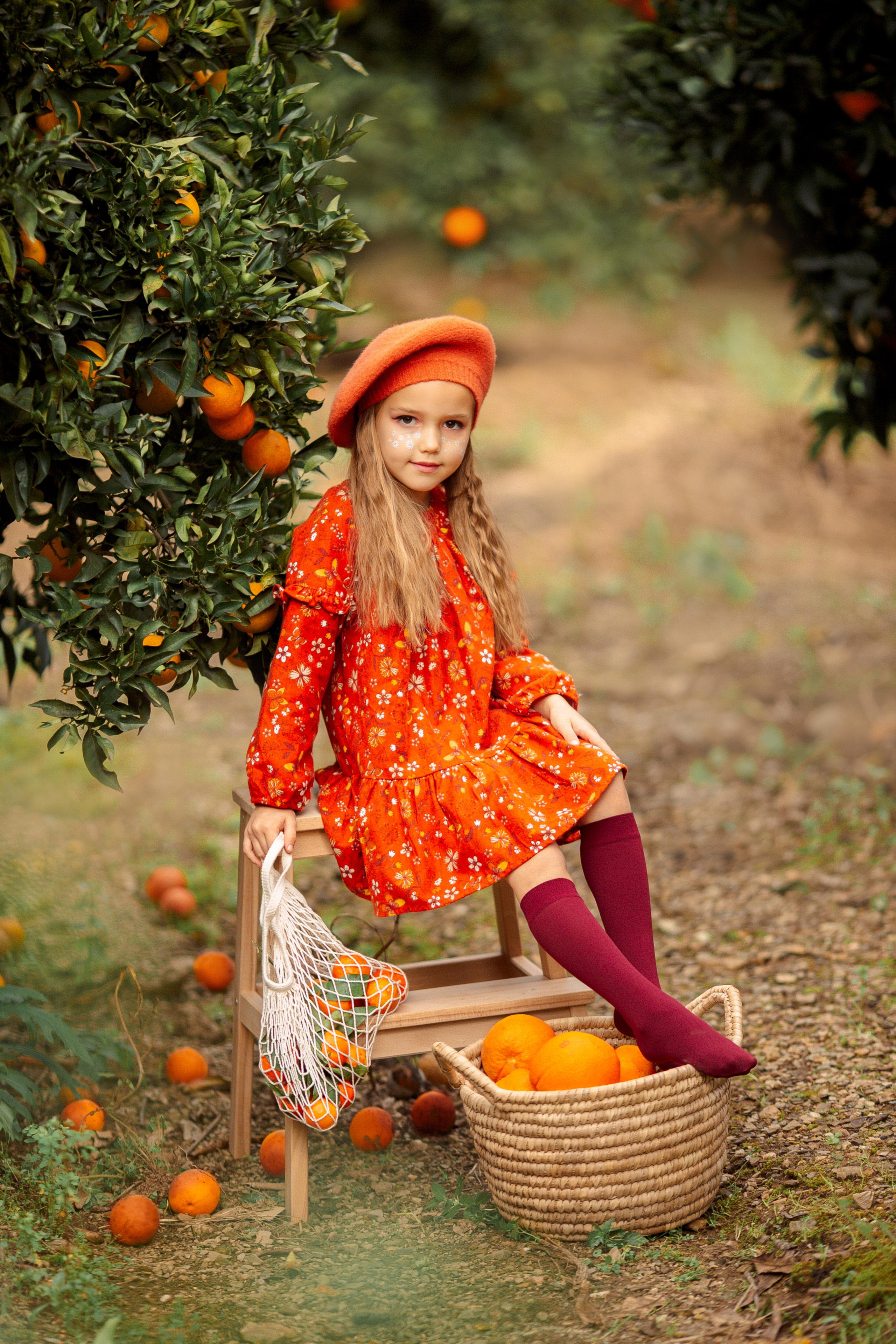 Family photo session in the orange garden. Professional Photographer in Alanya, Side, Belek, Antalya. Turkiye