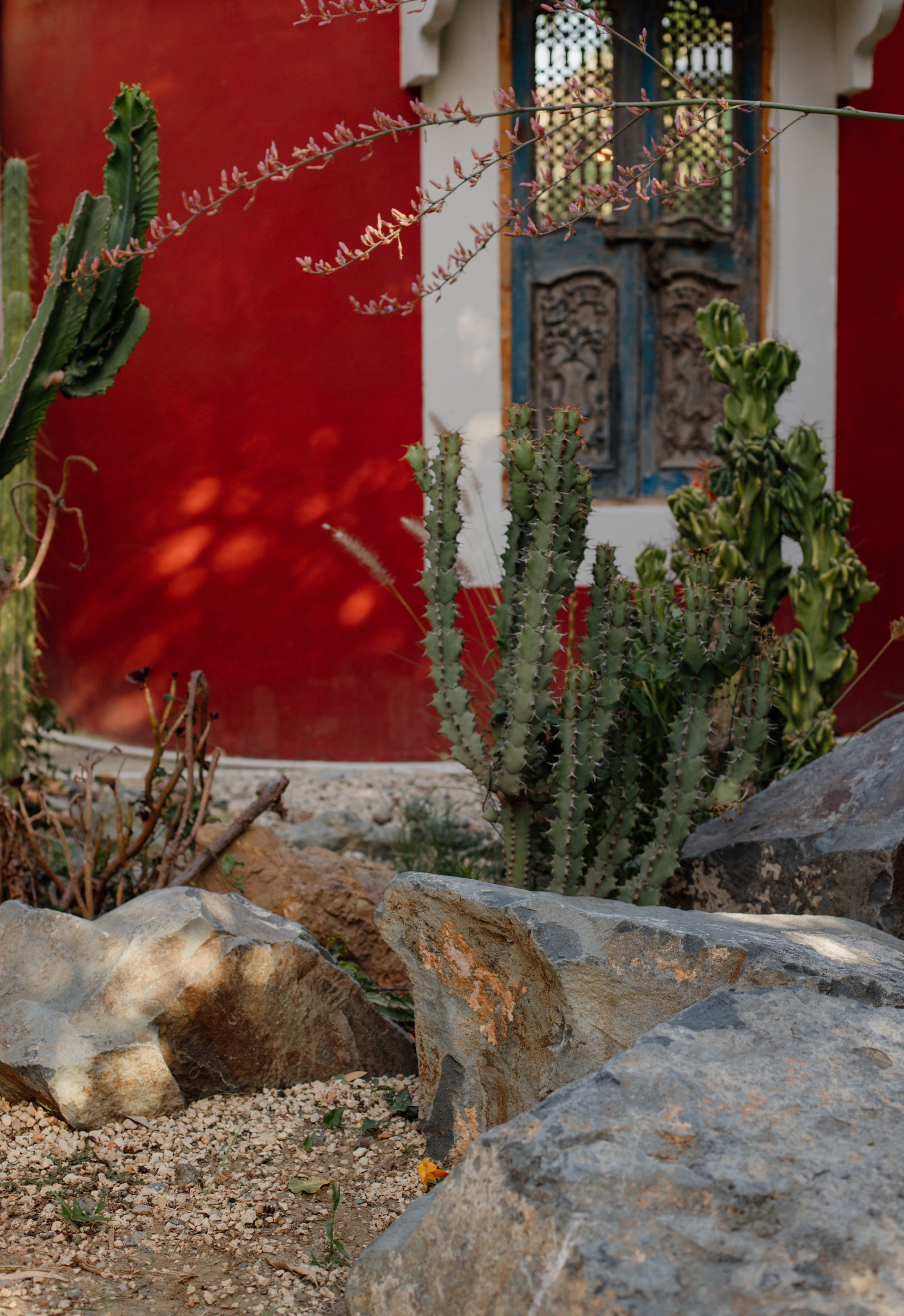 Payabl. Summer Party. Family and business portrait’s photographer in Cyprus