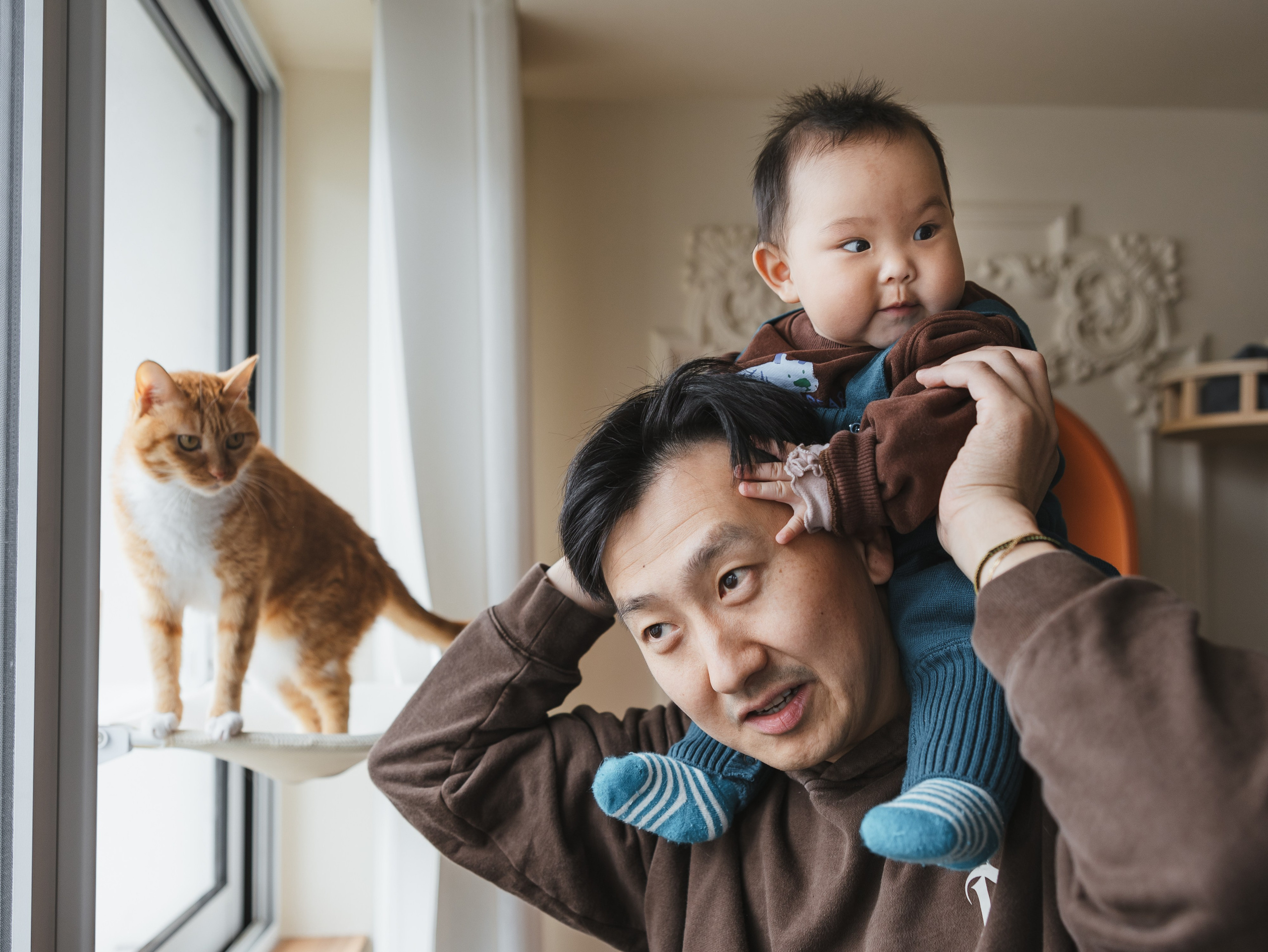 Photos of pets. Shanghai Family Photographer Dora