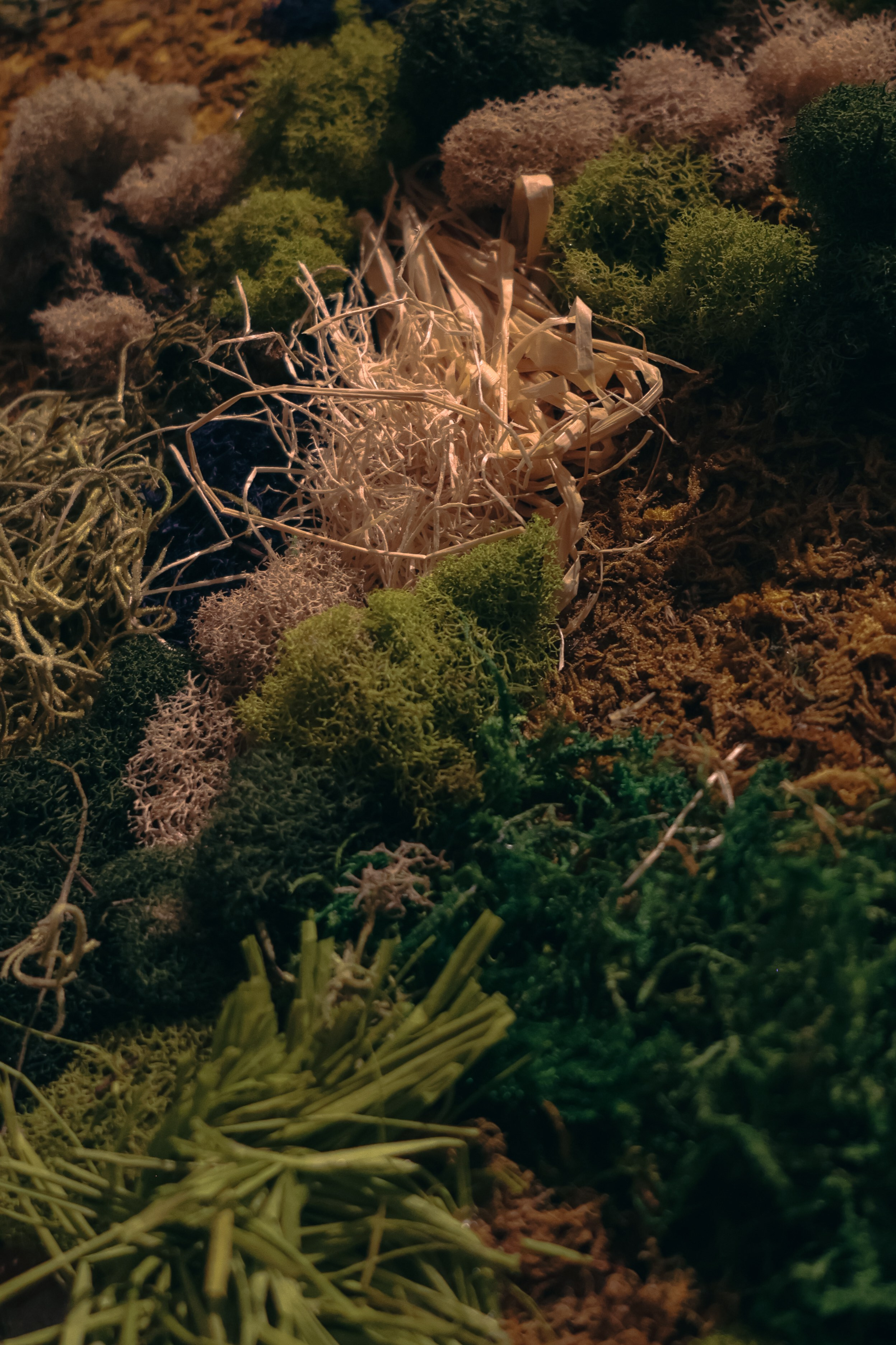 Anna & Moss magic, Content. Yana Bobrova | Artistic Photography