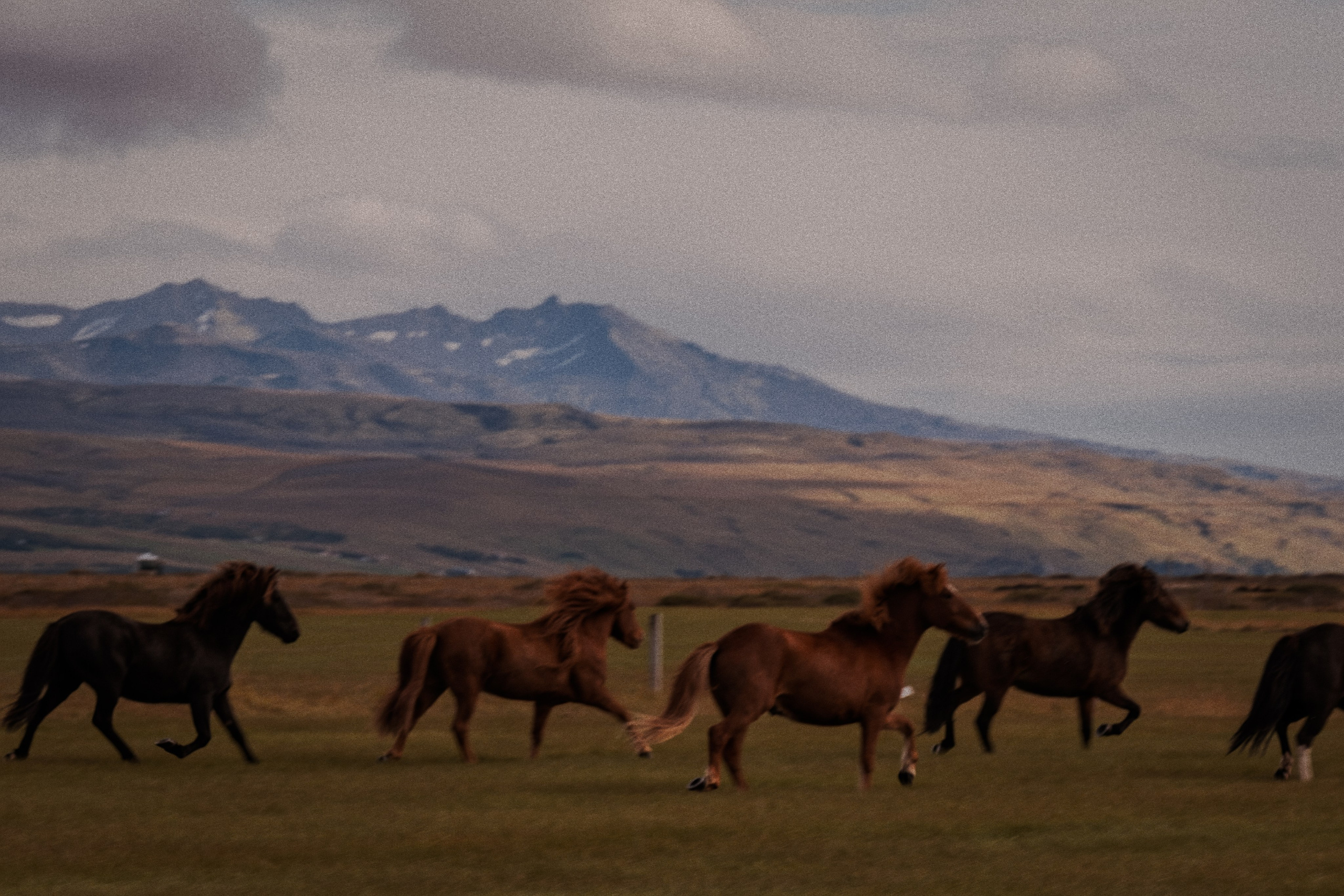 Iceland. Artjom Kutuzov Photography