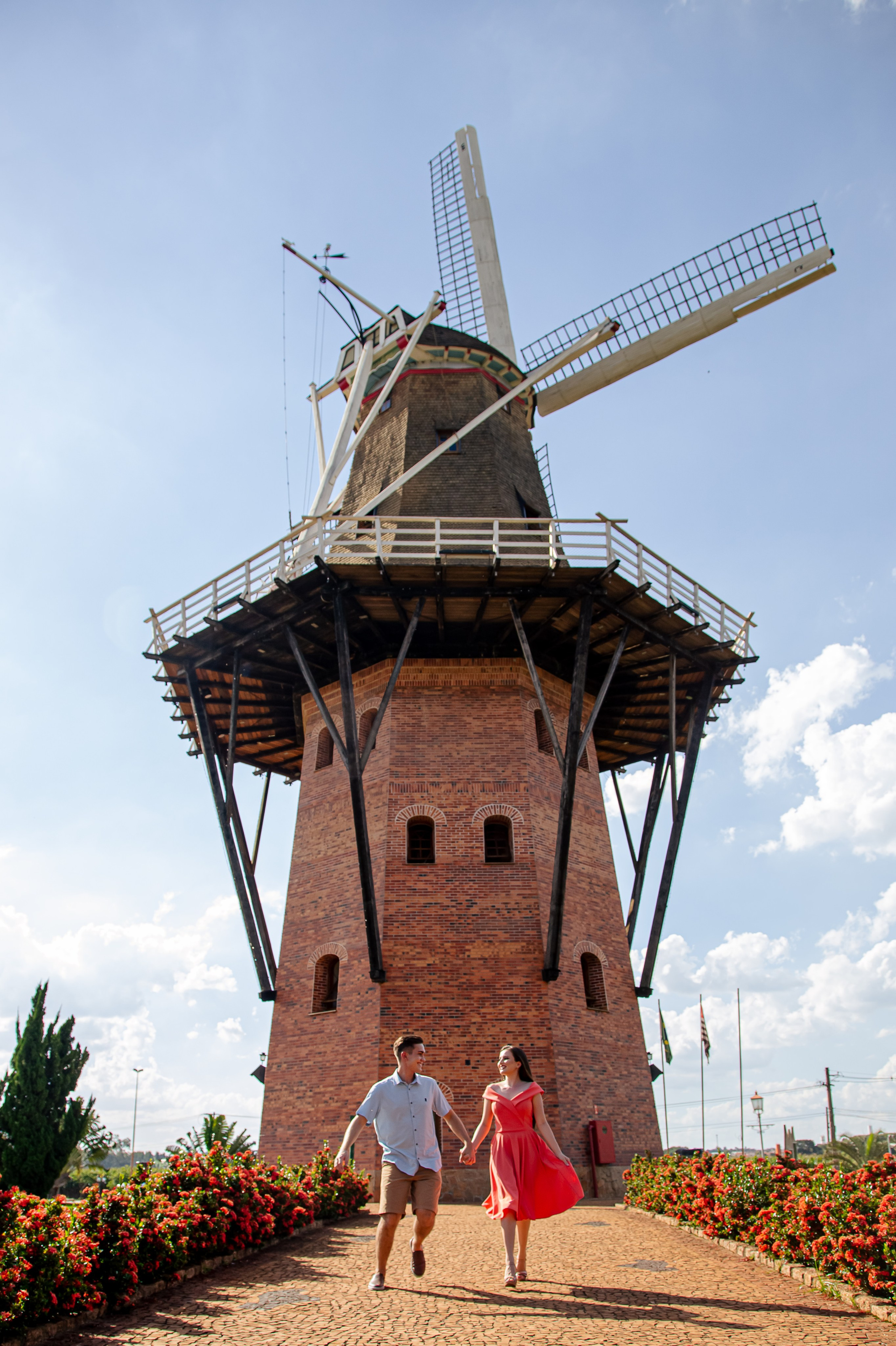 Ensaio Holambra. Tela cheia