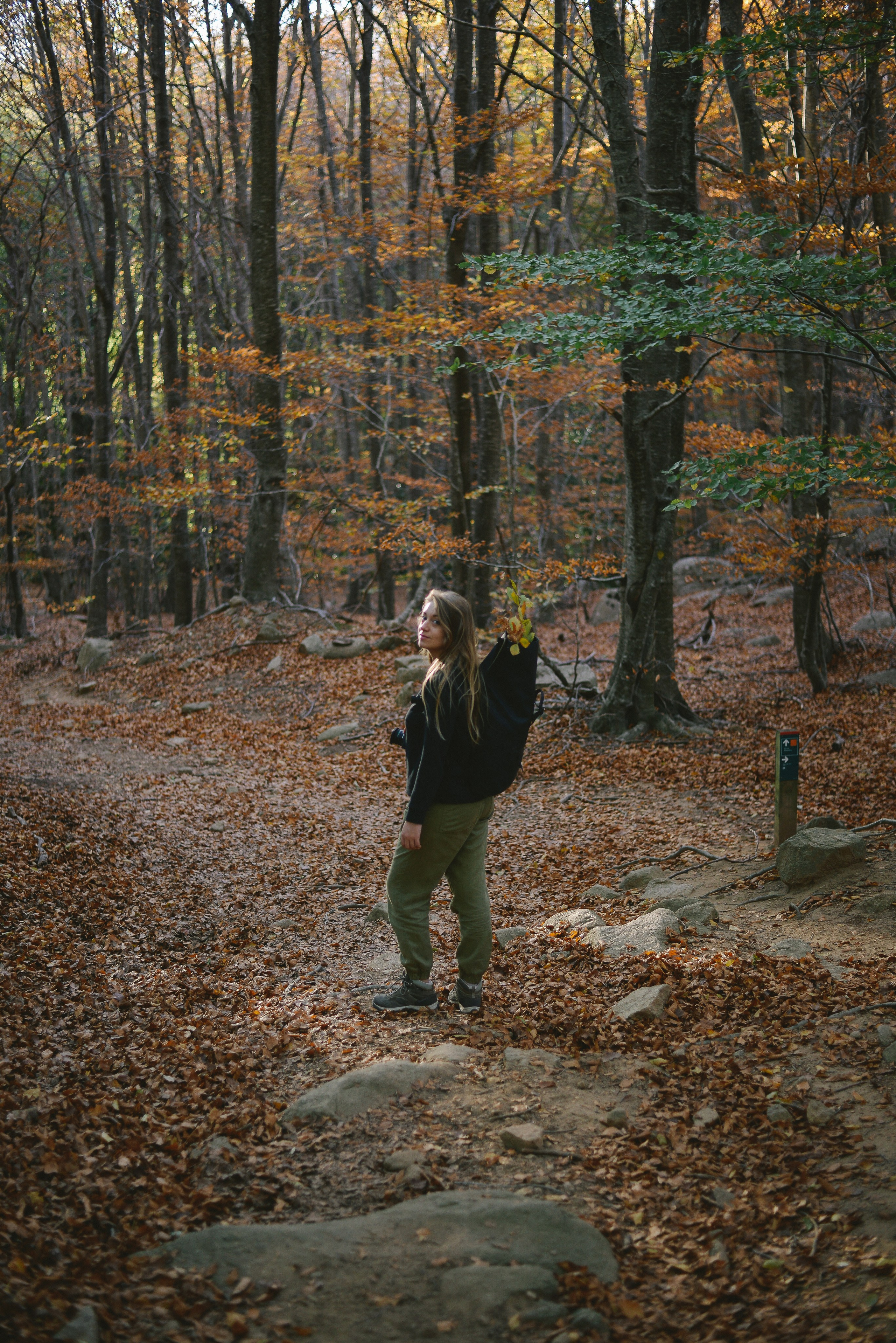 Galeria. Creador de contenido visual en Barcelona | Dima Kit