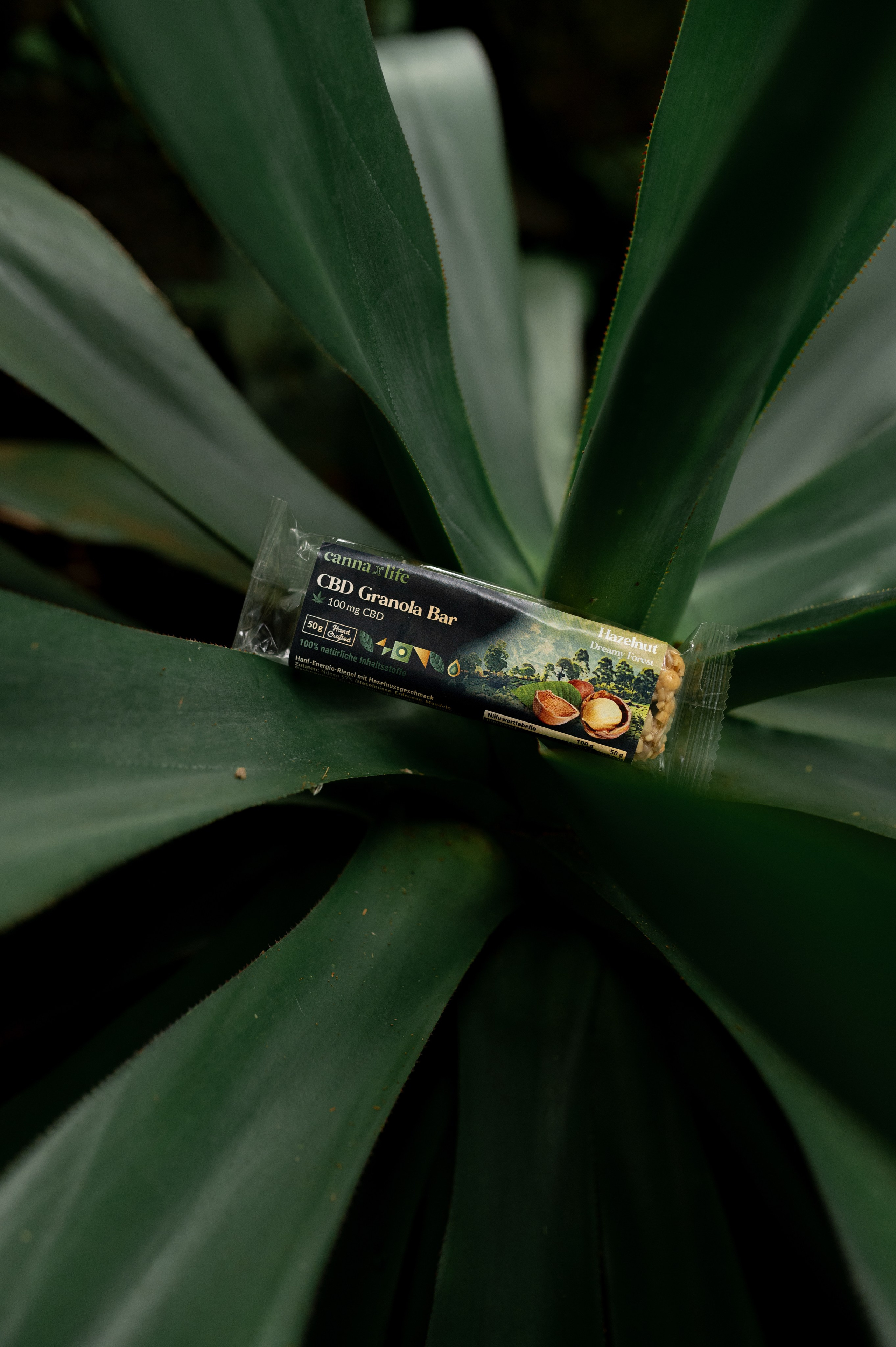 CannaXlife CBD products. ANNA-MARIA PHOTO CONTENT CREATOR — фотограф, эстет, художник и визуальный эксперт в Instagram, работающий в Праге