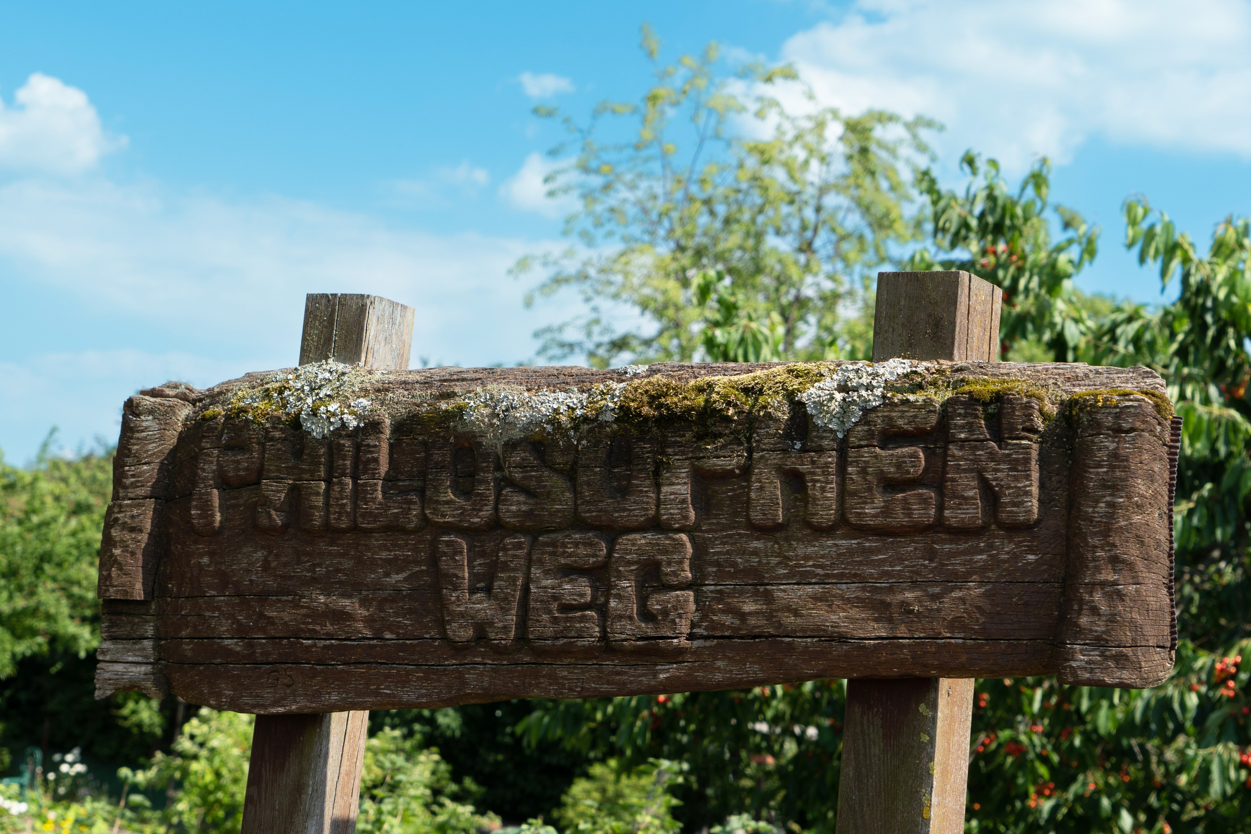 Landschaftsfotografie. Bürgerreporter & Amateurfotograf in Hannover