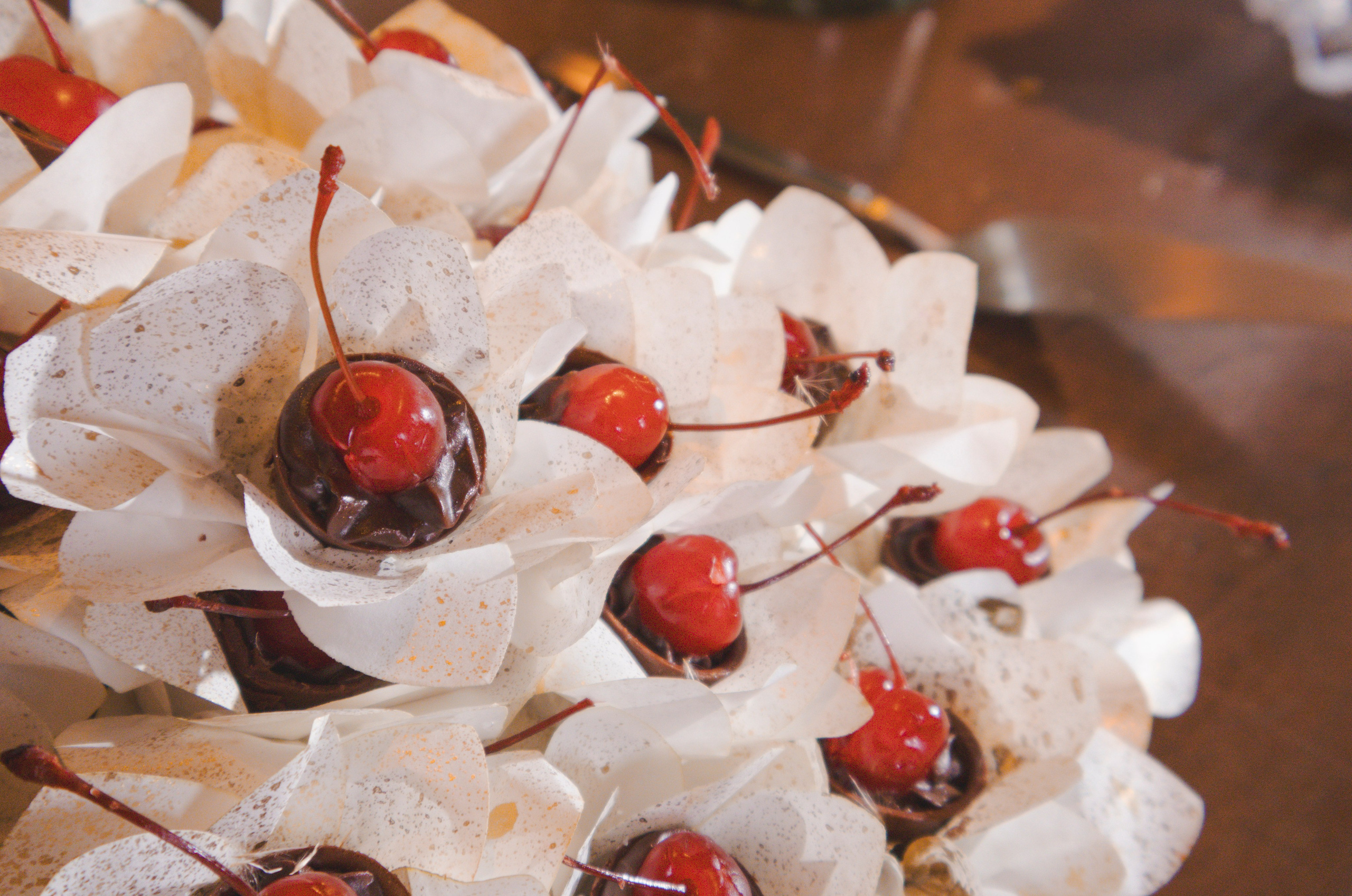 Rafaela & Leandro. Fotógrafos de casamento. empresas, família em Catanduva SP e região, Casal Gonçales