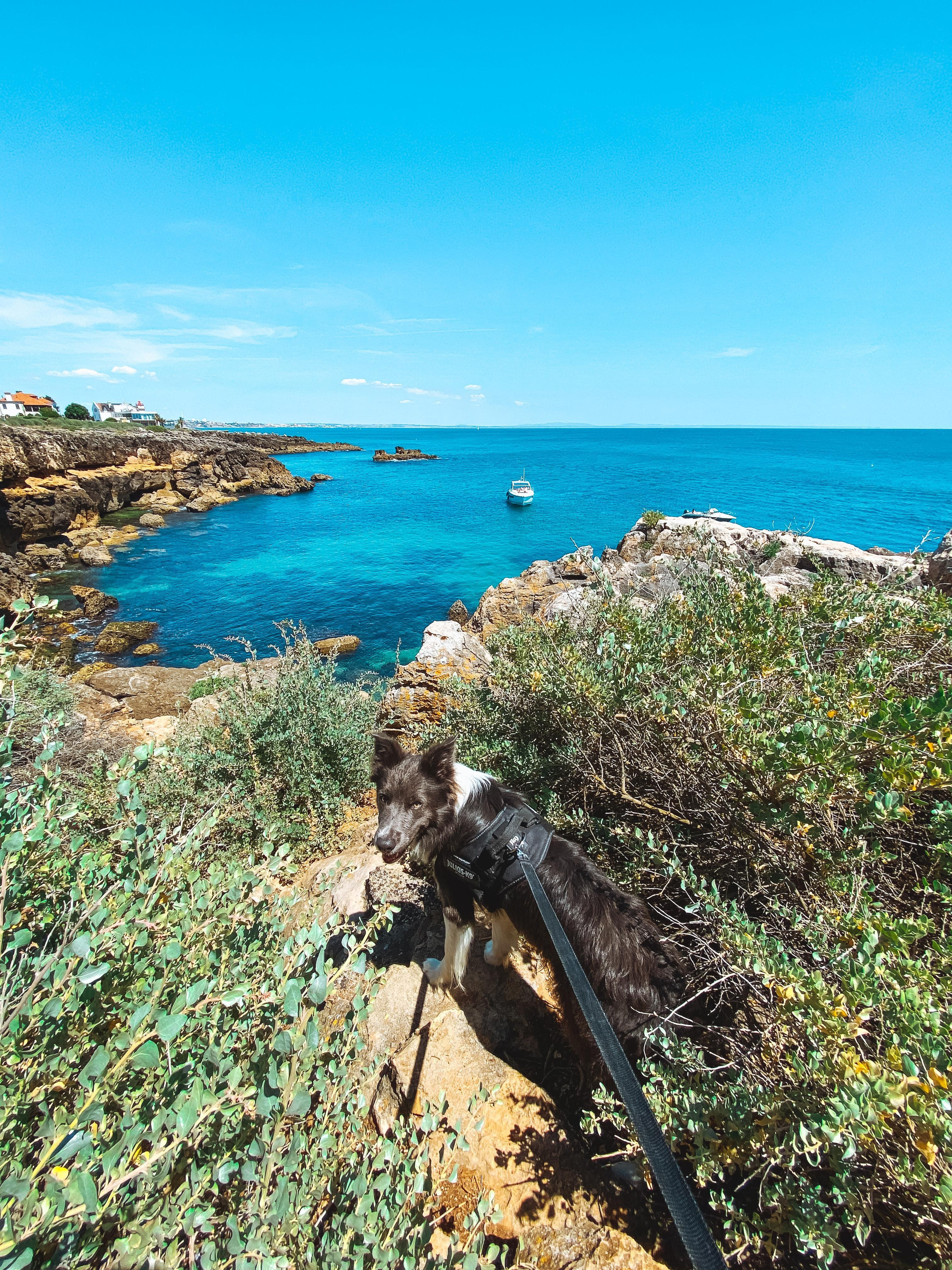 Jógový pobyt v Portugalsku 2024. Mateřství. Nevýchova. Život v souladu s přírodou. Jóga