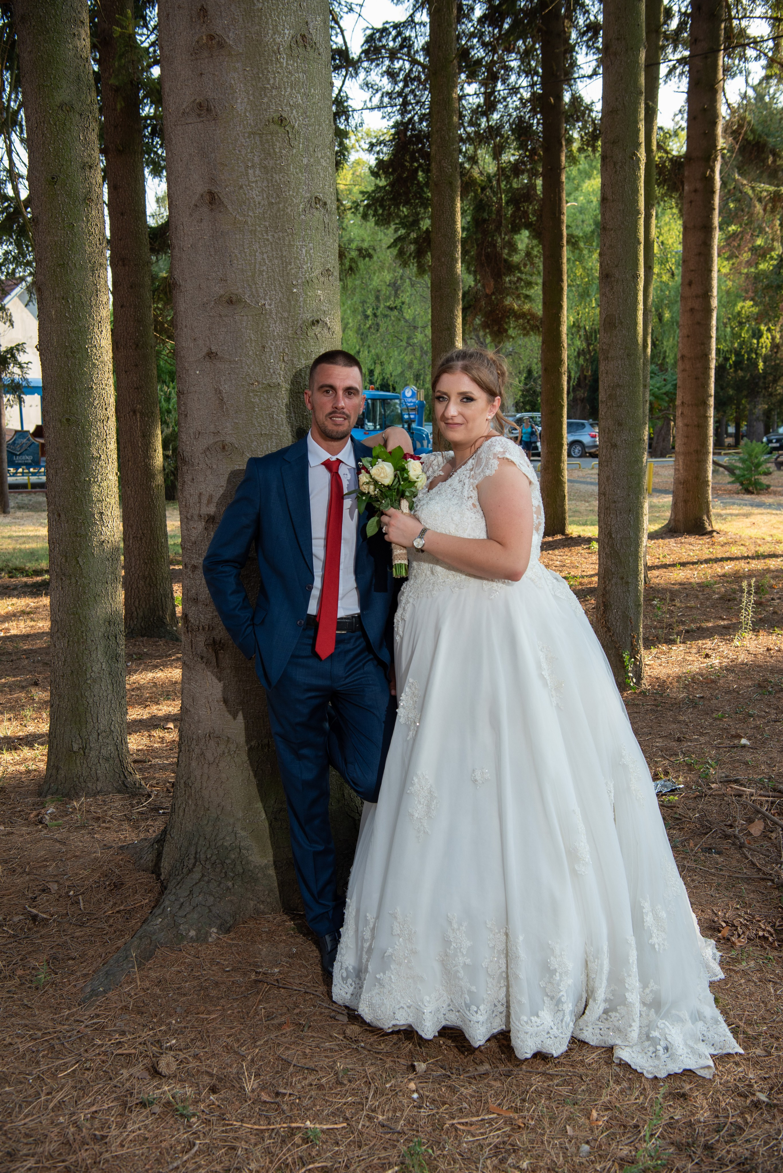 Portfolio. Dragan Janković