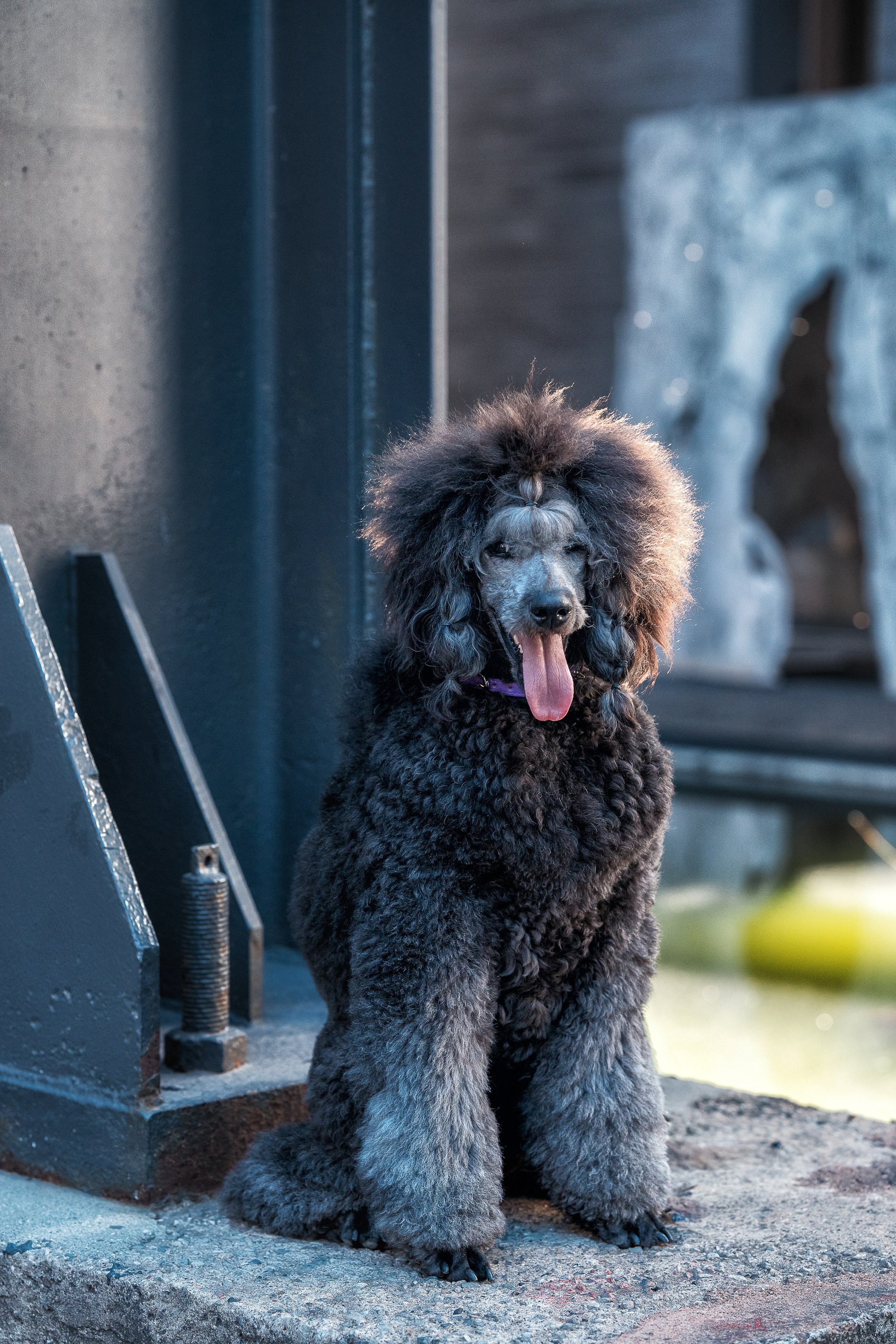 Alexandra Lord Stella. Familien, Portrait und Konzeptualfotografie in Genf, Schweiz