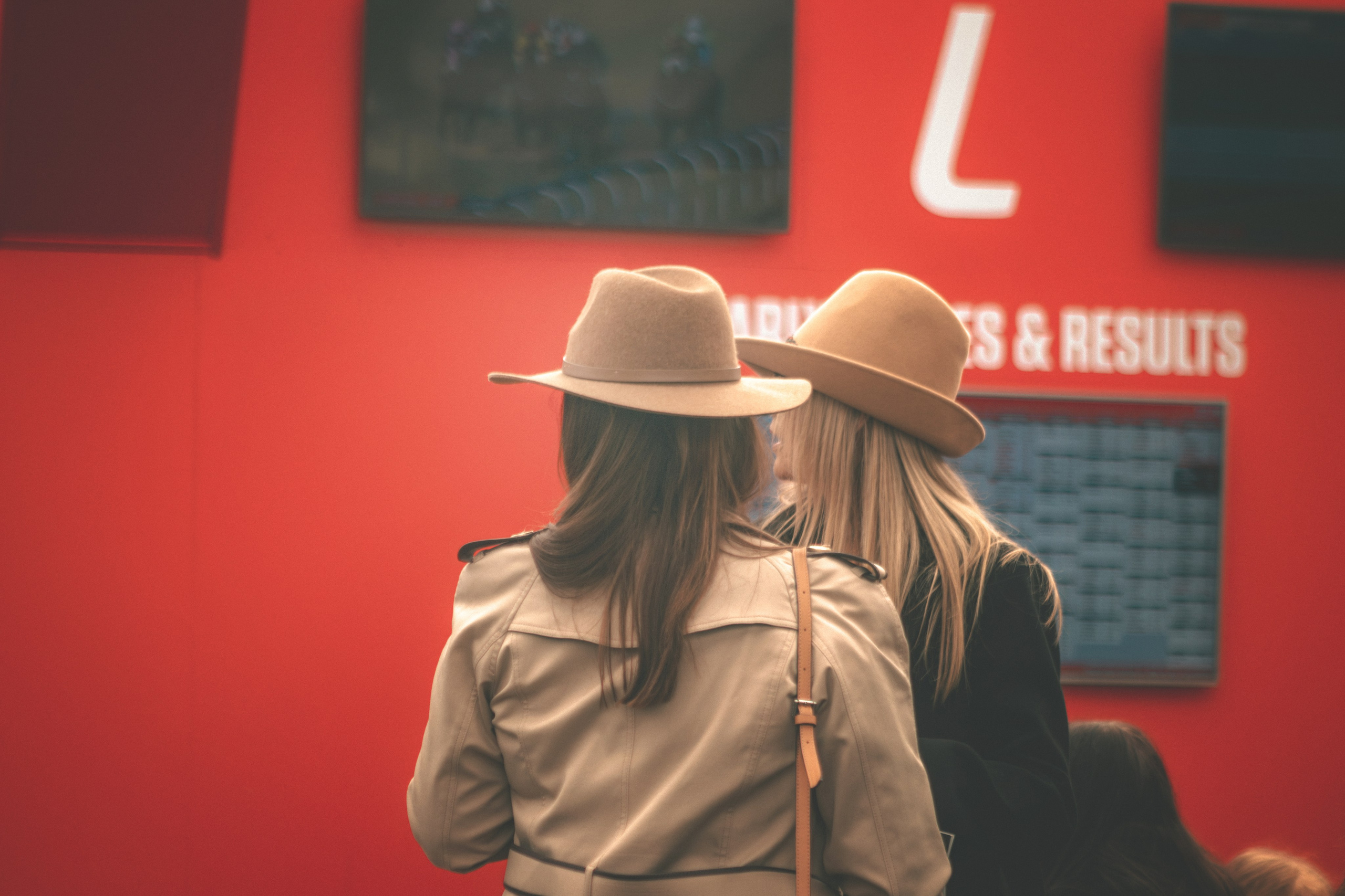 Punchestown. Photographer Co Dublin, Balbriggan — Agata Maliseva