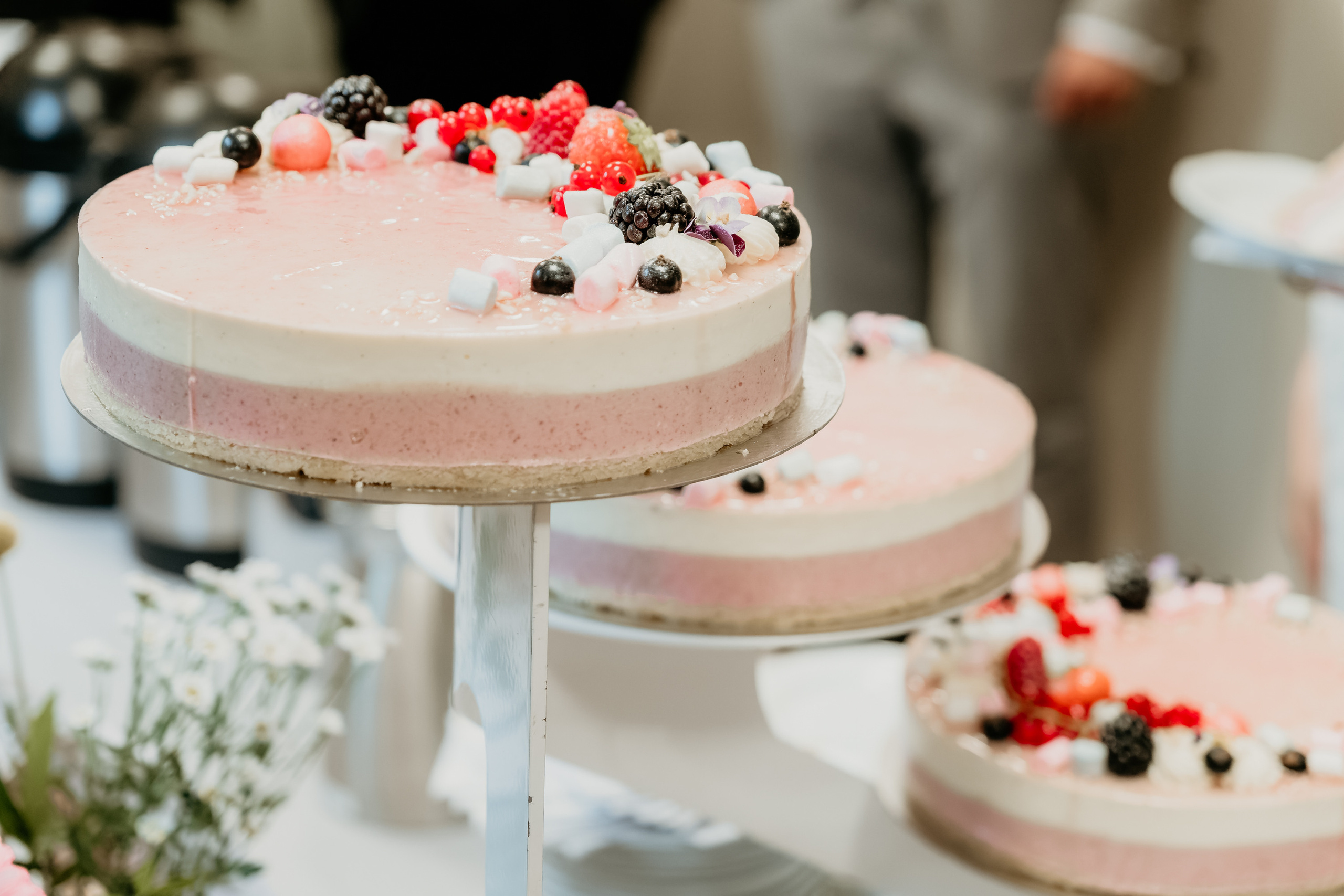 Suositukset. Dimi Savolainen — Your Photographer in Finland