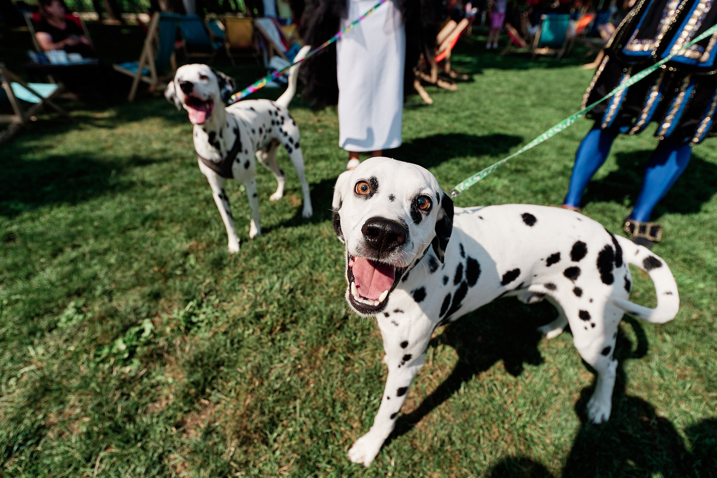Фотограф Харьков Роман Рубан