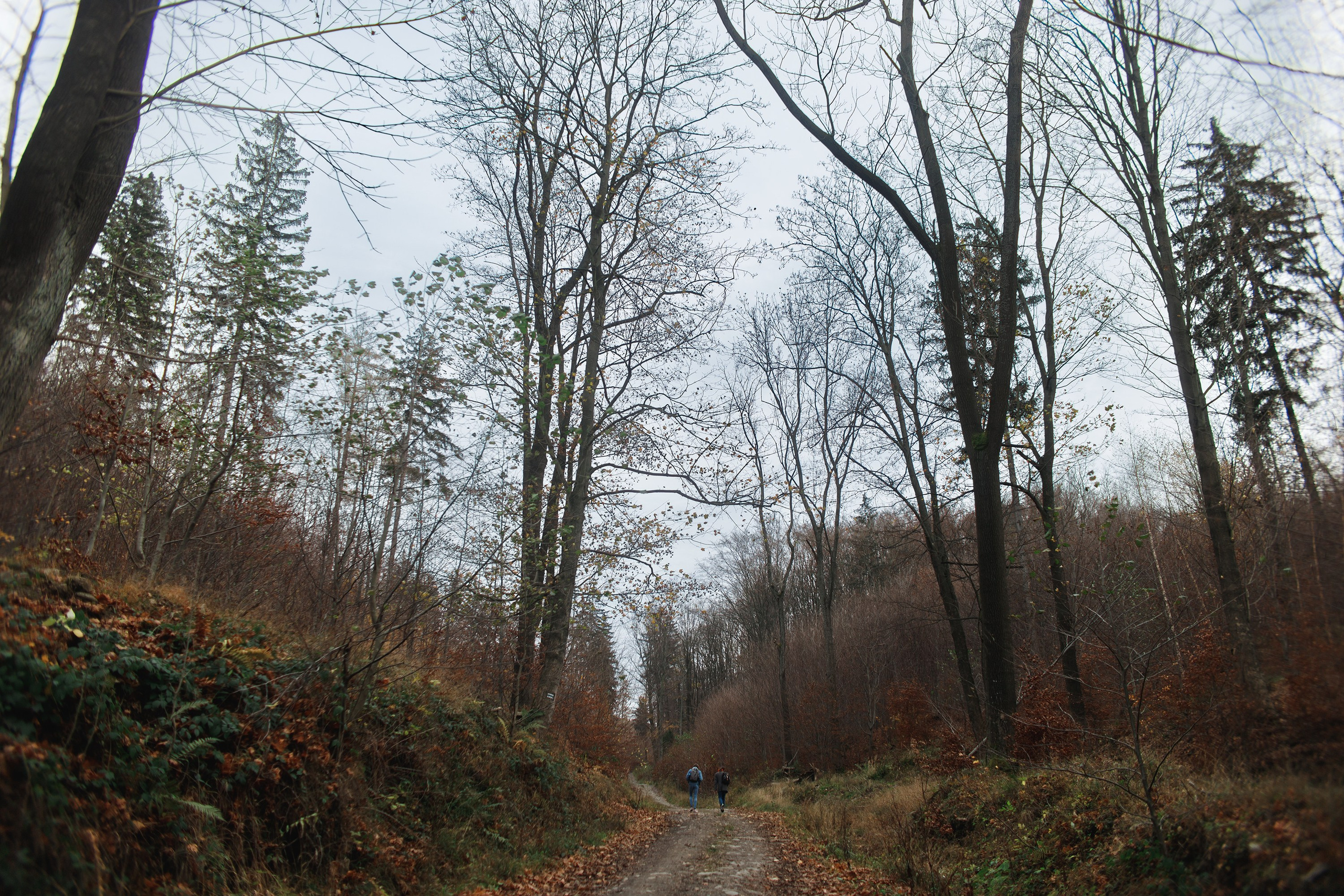 Sowie góry. Kaja | fotograf we Wrocławiu | ludzie i psy