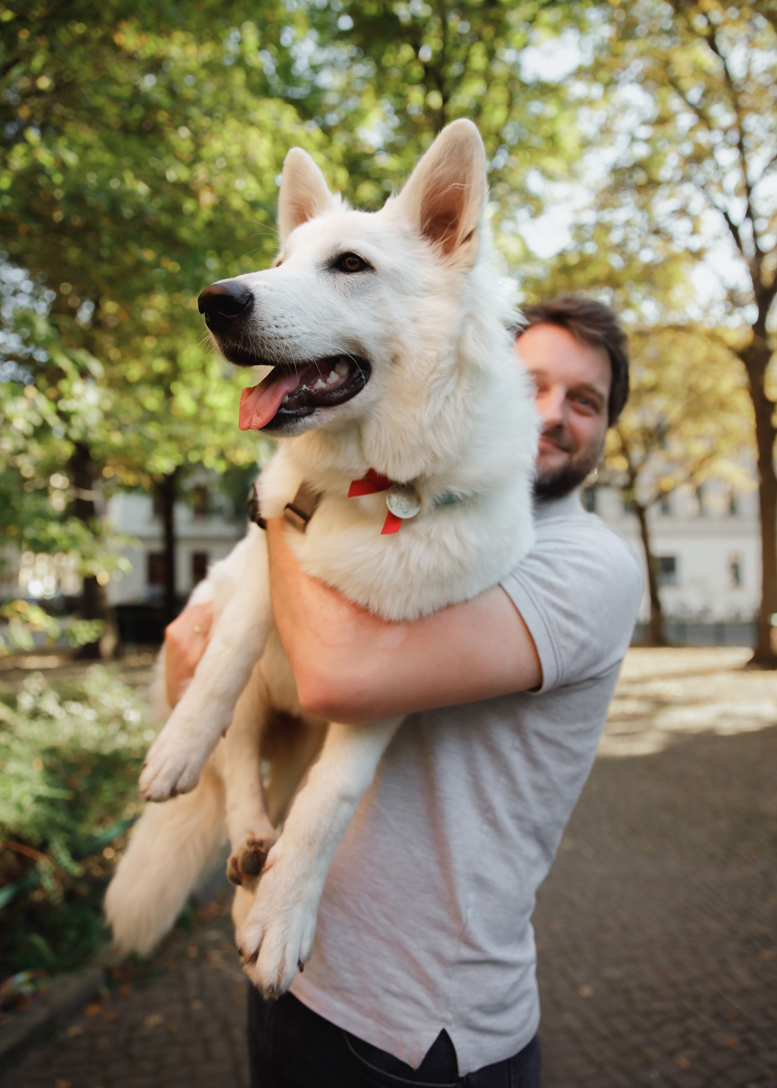 Astra in Leipzig. Kaja | fotograf we Wrocławiu | ludzie i psy