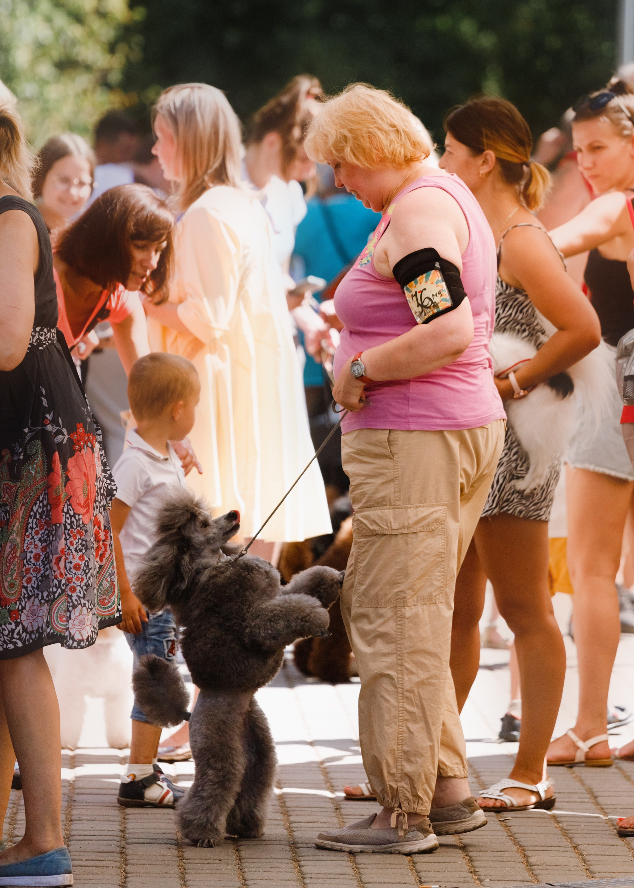«Argus» dog show in Brest. Kaja | fotograf we Wrocławiu | ludzie i psy