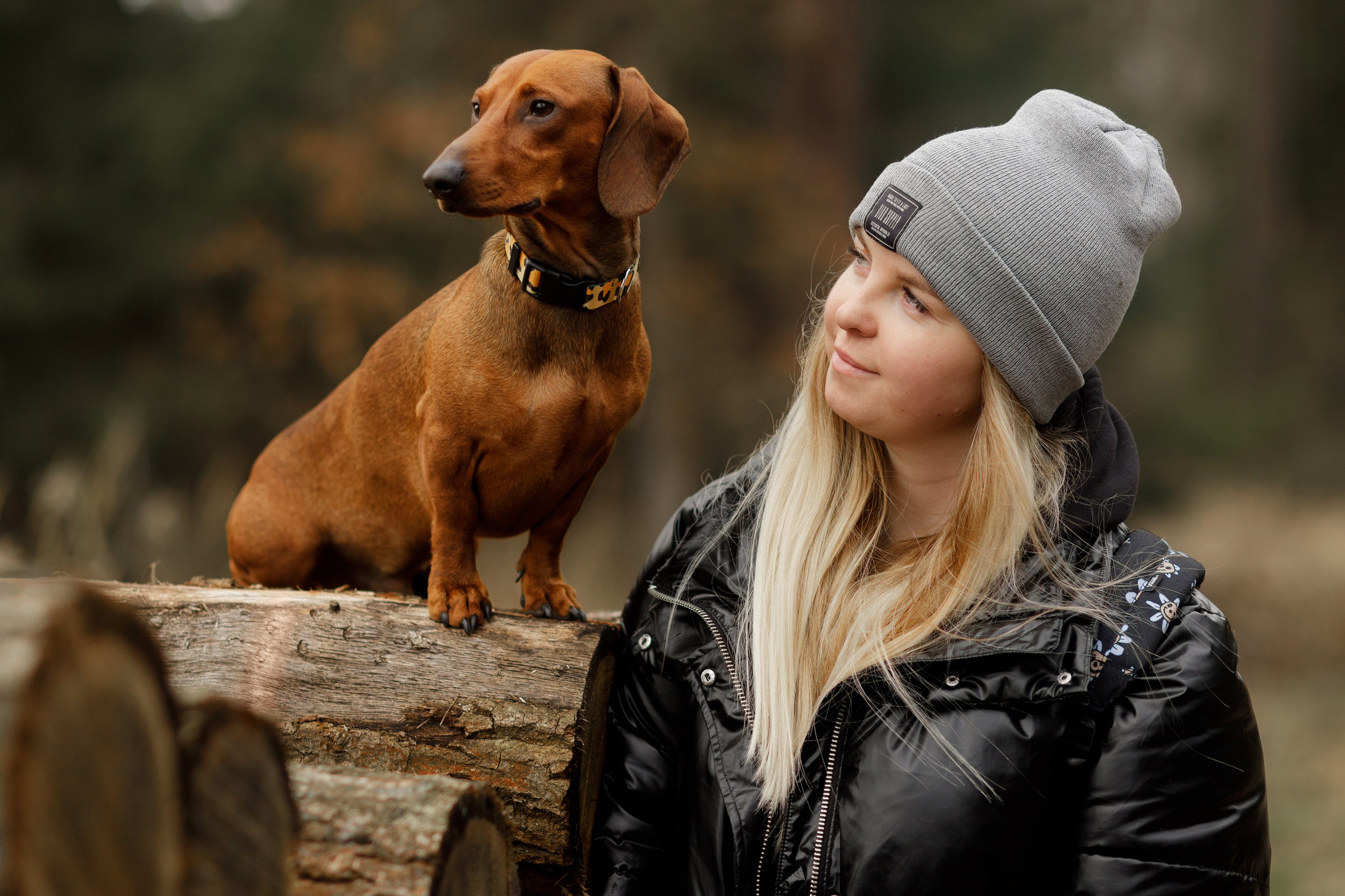 Ania, Franek & Vincent. Kaja | fotograf psów we Wrocławiu