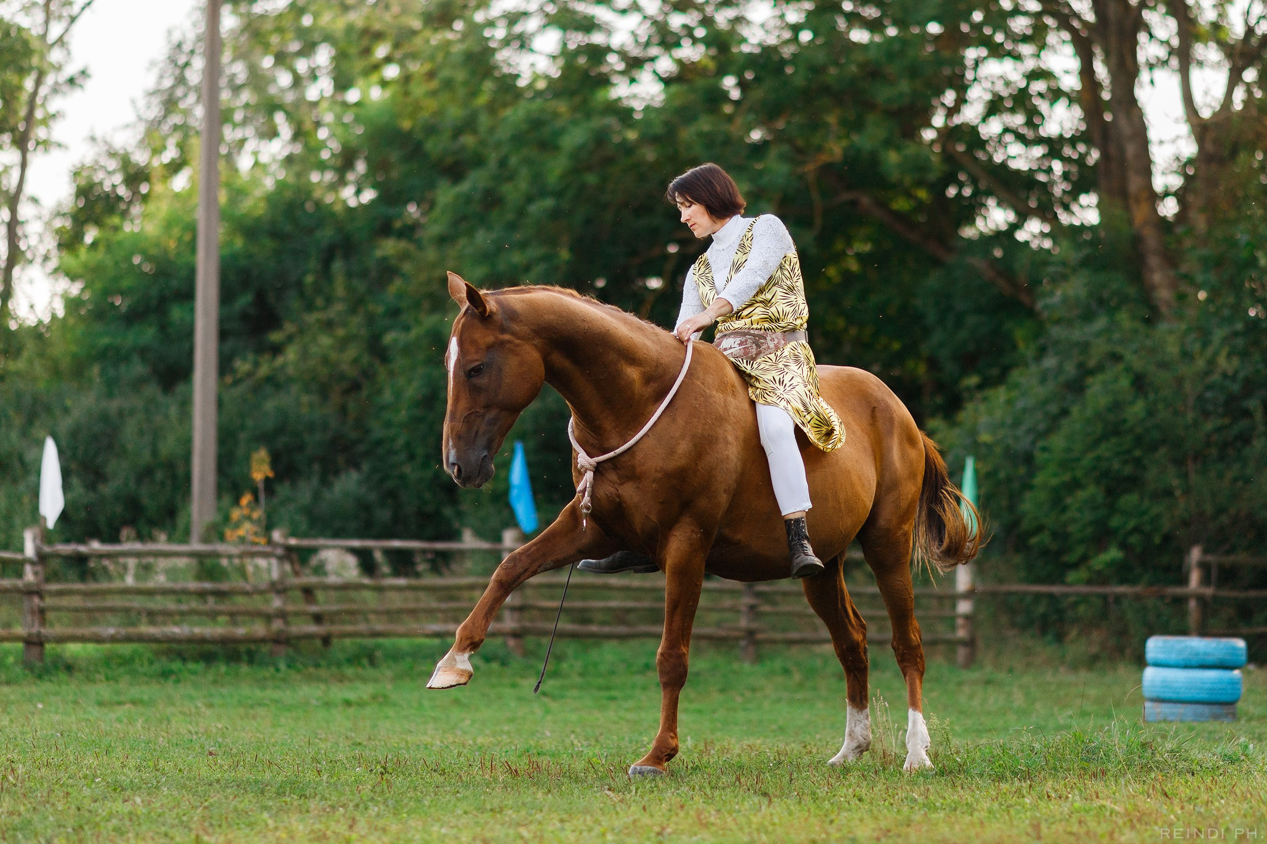 Horse show in the village. Kaja | fotograf we Wrocławiu | ludzie i psy