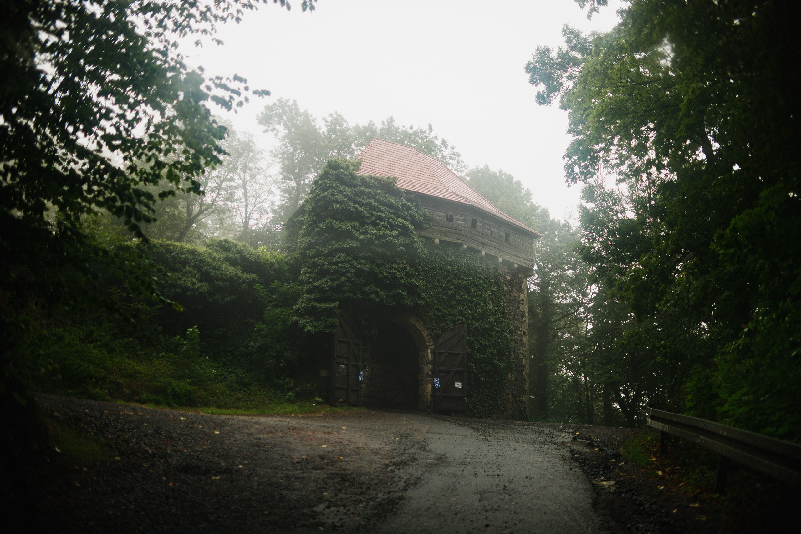 Zamek Grodziec. Kaja | fotograf psów we Wrocławiu