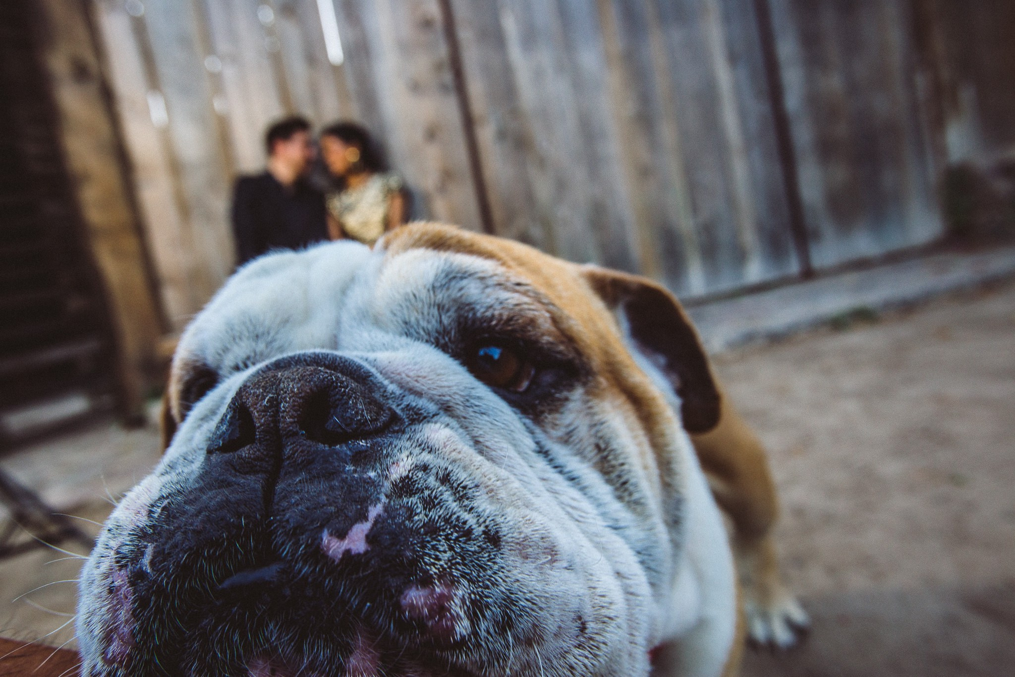 Rancho L-86 Valle de Gpe Andrea y Arturo. Estudio de fotografia en Tijuana