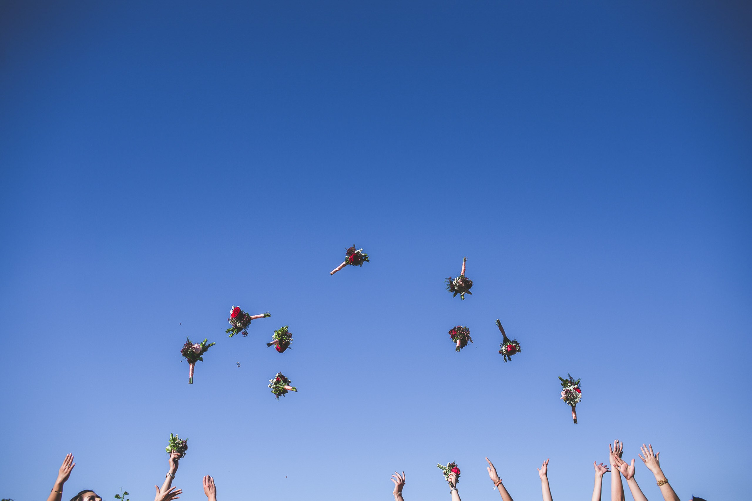 Valle de Guadalupe Boda Ilieana y Antonio. Estudio de fotografia en Tijuana