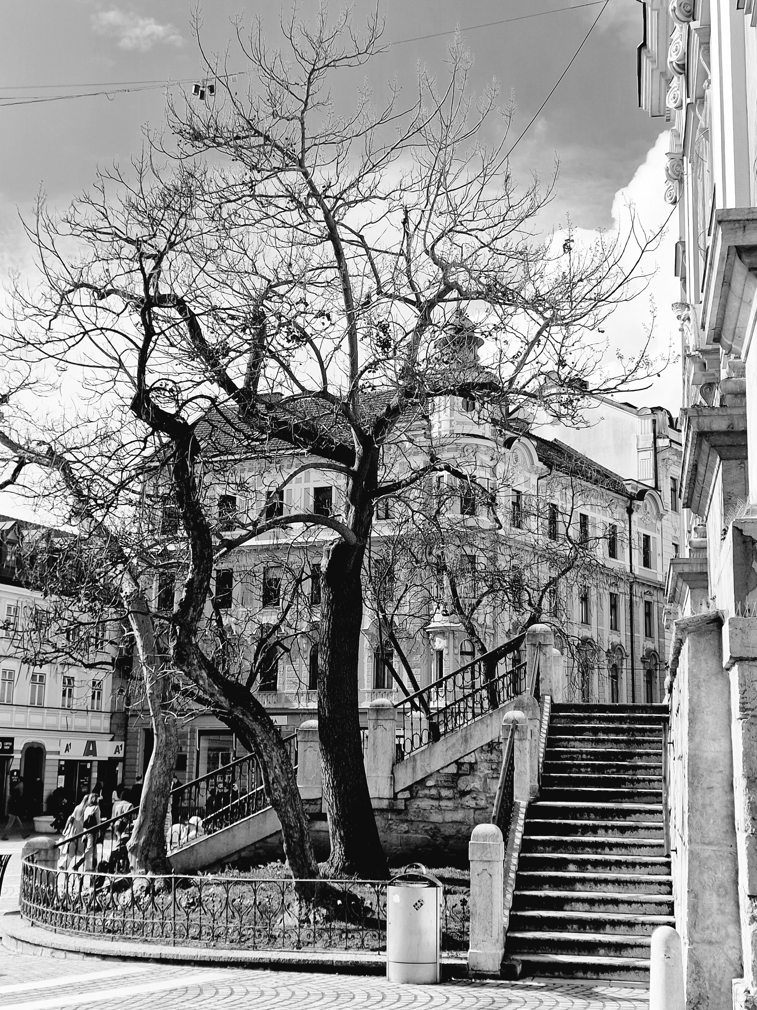 Art photo. Fotograf Neven Nakrajkucin