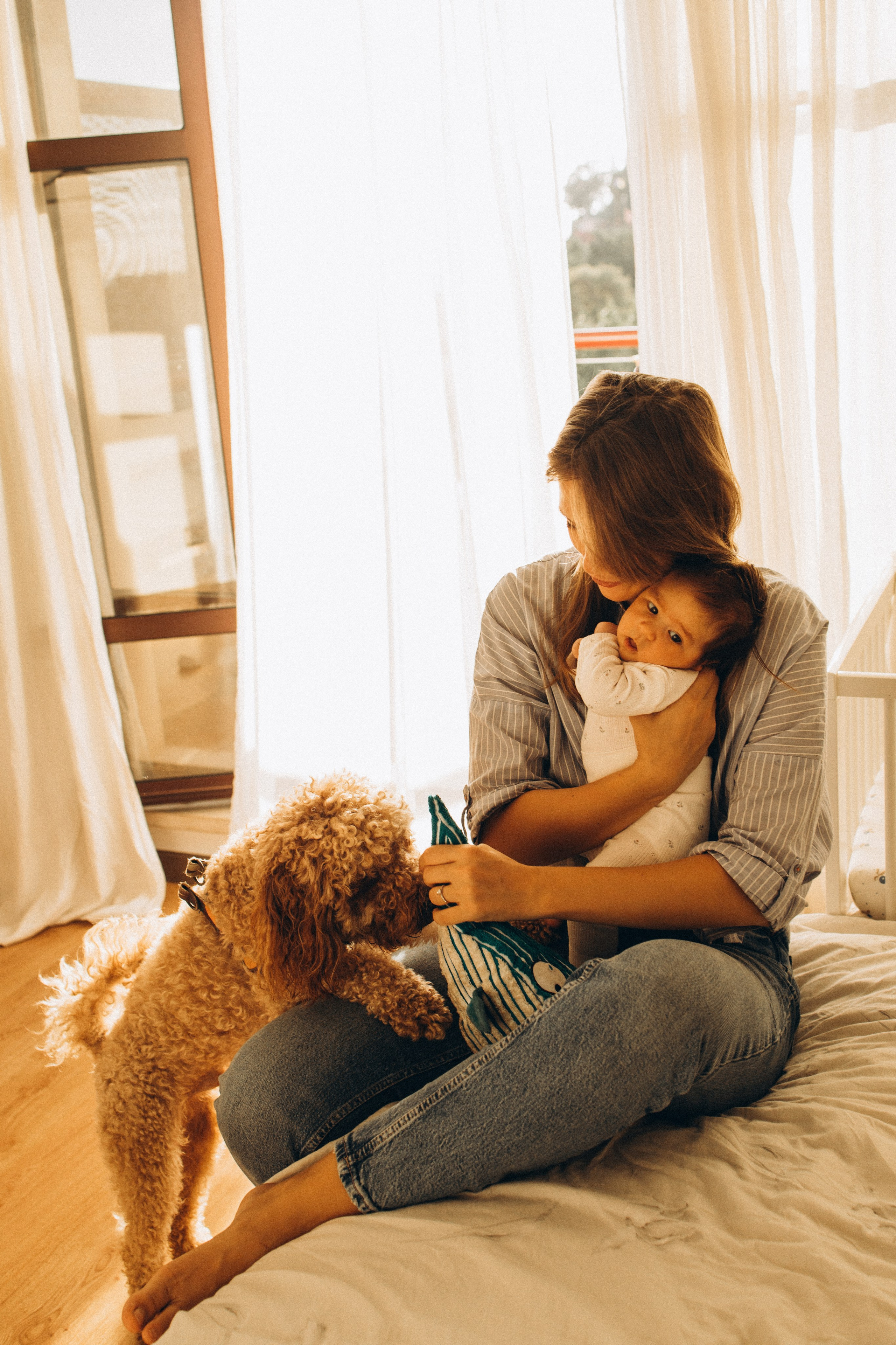 Newborn. Photographer Madeira