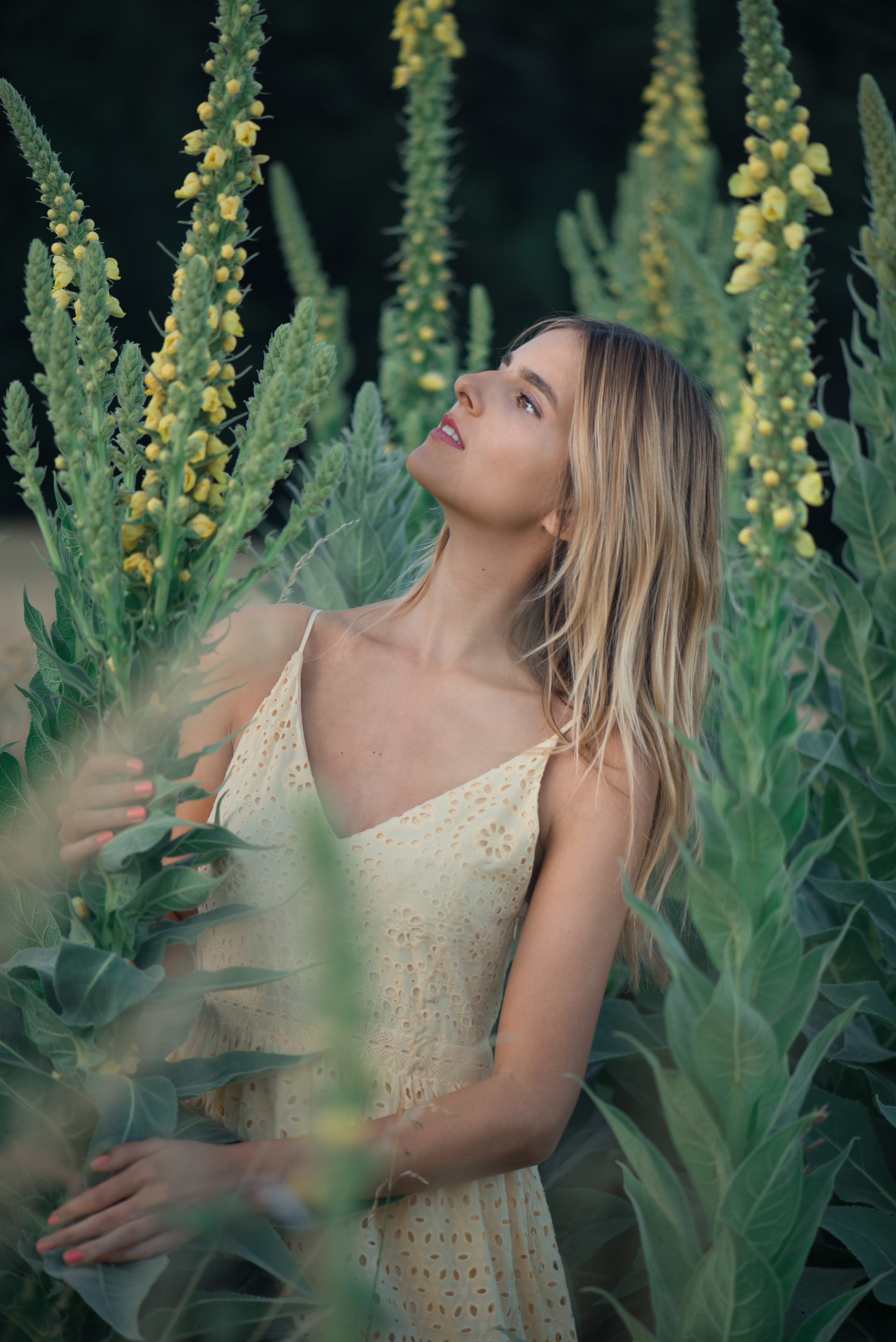 NADINE. I am Elena Altendorfer. Wedding photographer in Zurich and Switzerland