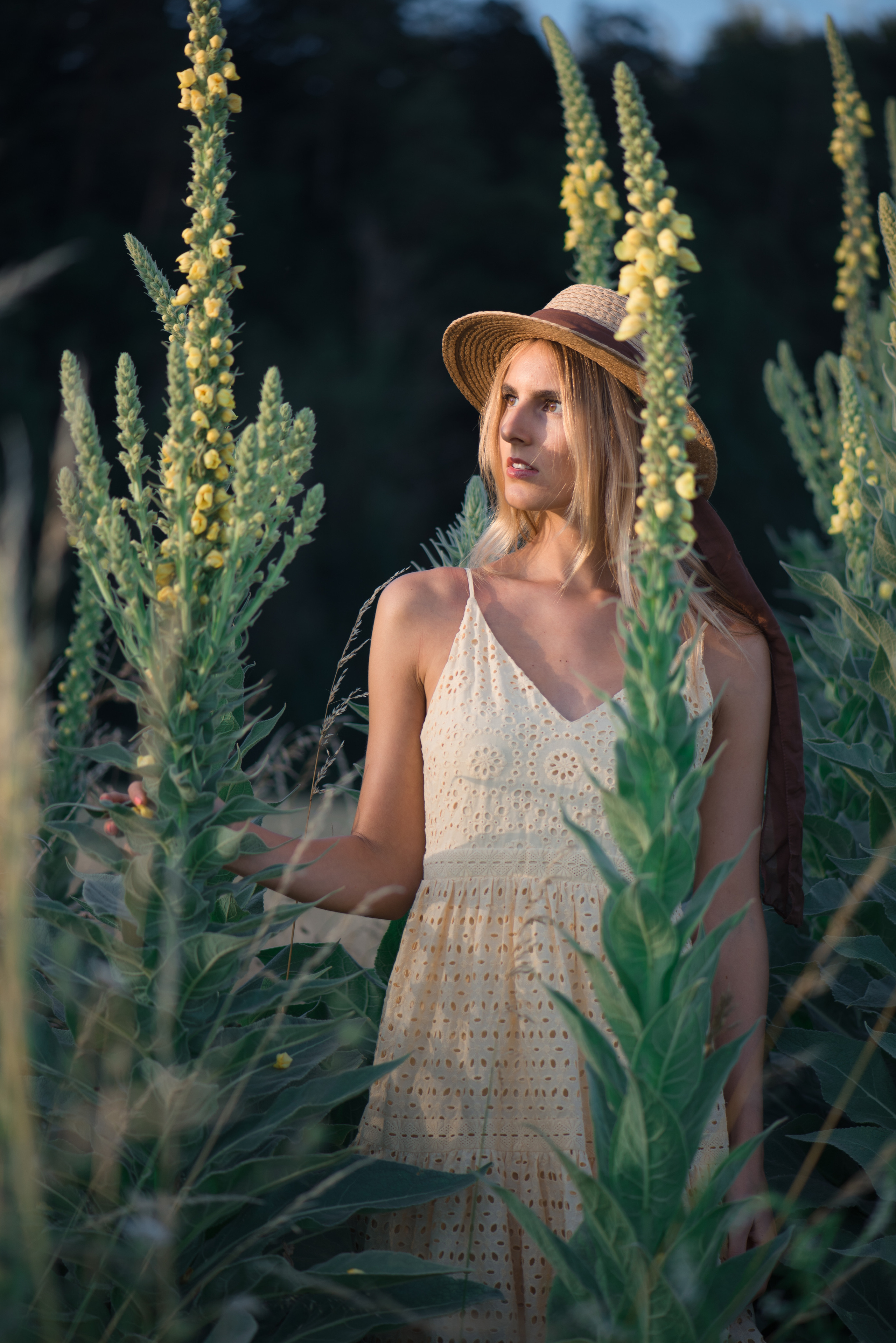 NADINE. I am Elena Altendorfer. Wedding photographer in Zurich and Switzerland