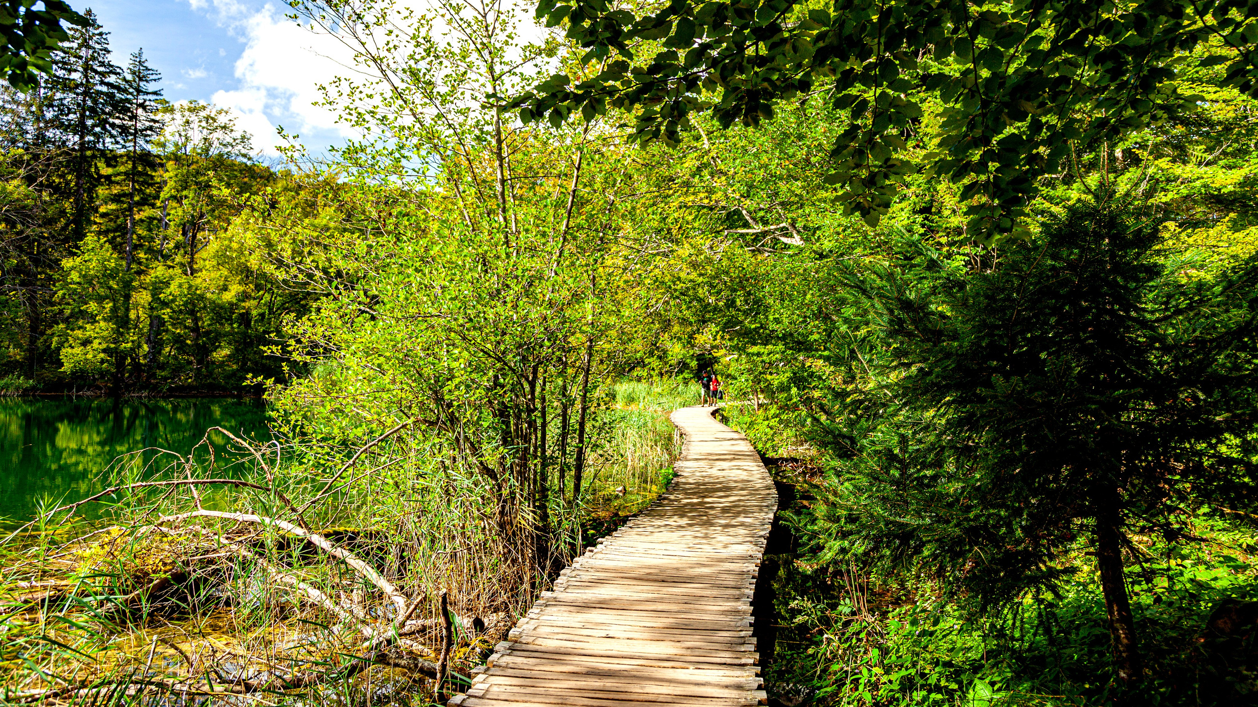 161.Plitvice lakes.17.9.2023. Путешествия в формате 360......