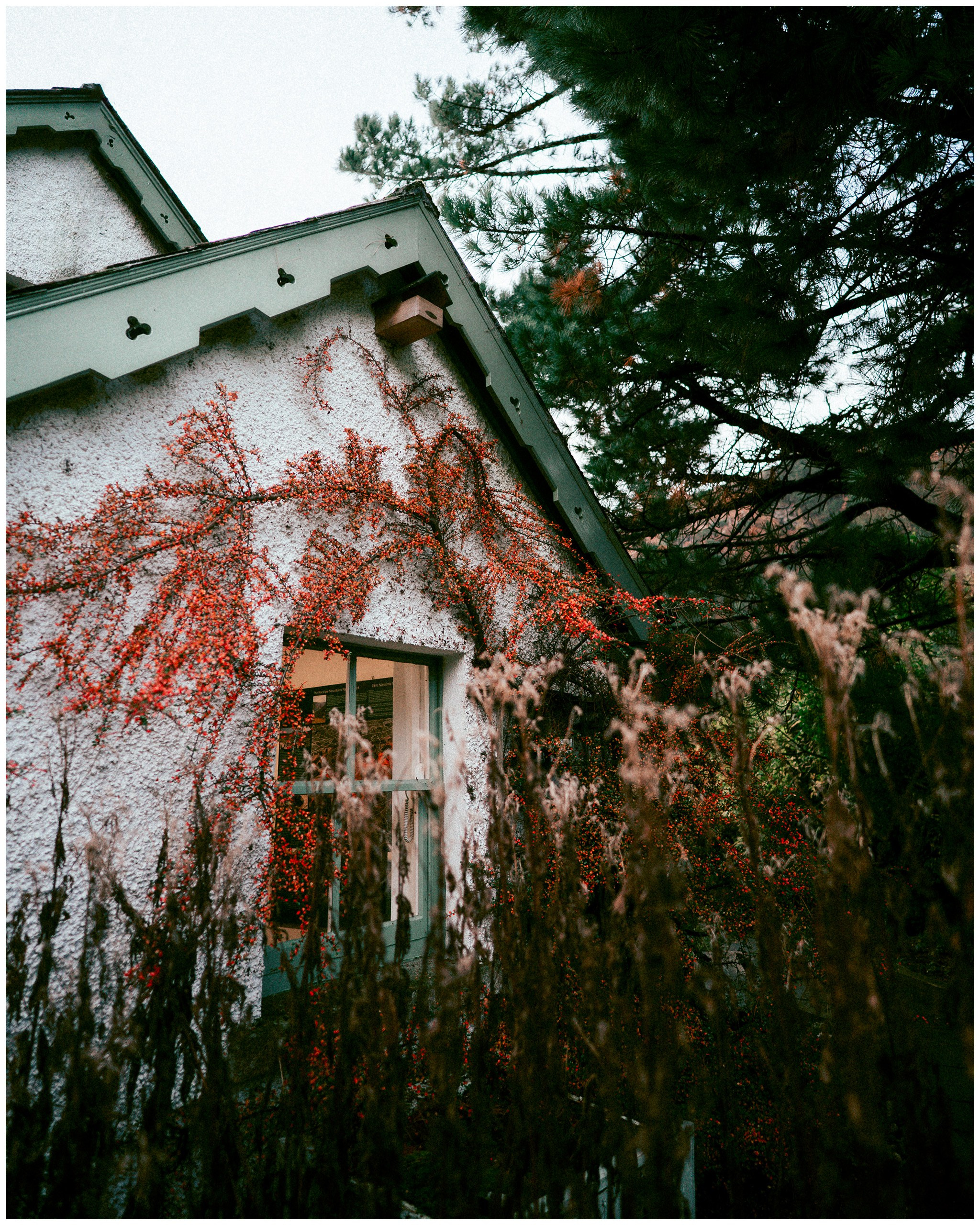 IRELAND. Inna Mendelson — Photographer