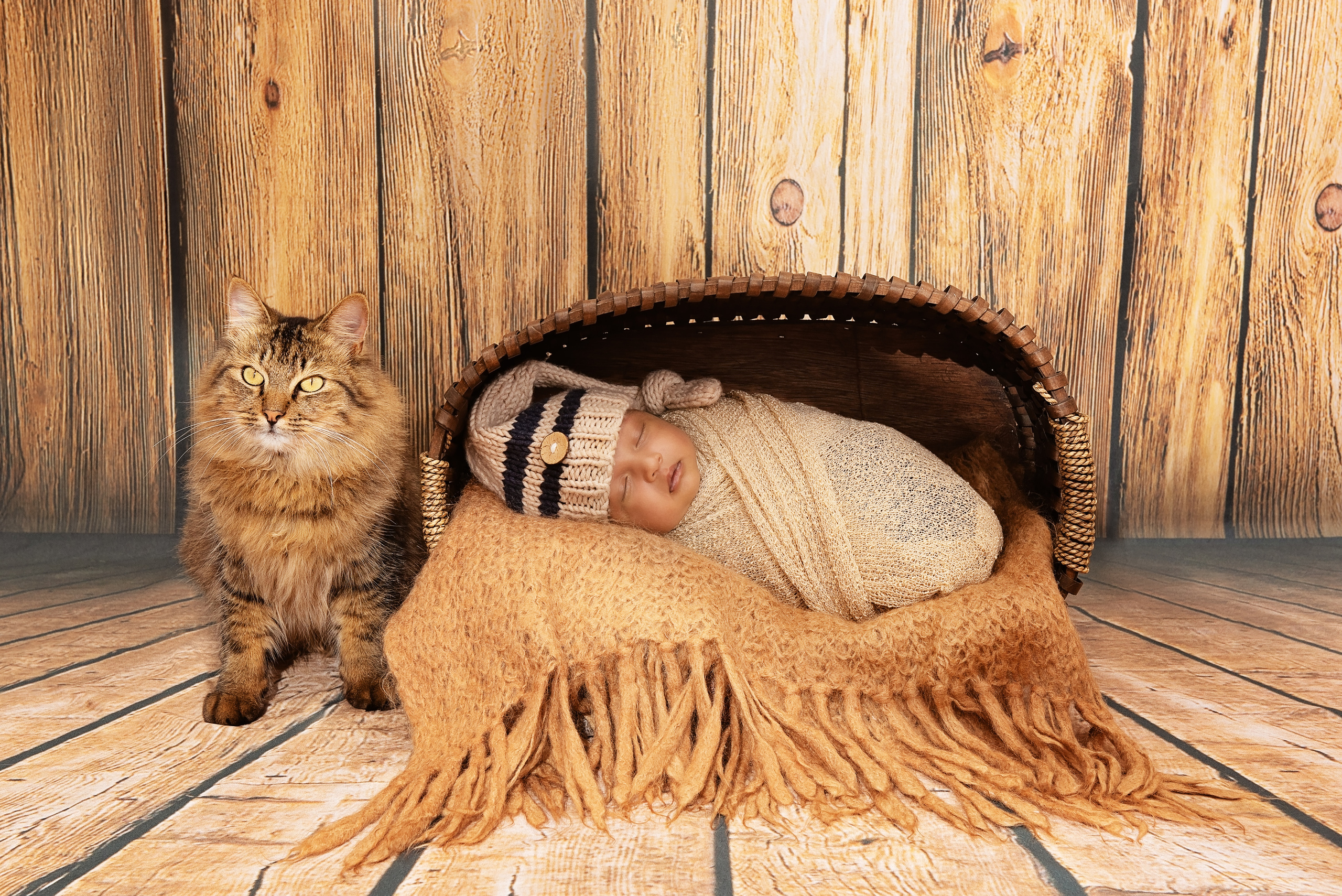 one month Indian African baby boy with cat newborn photo shoot Nairobi Kenya 