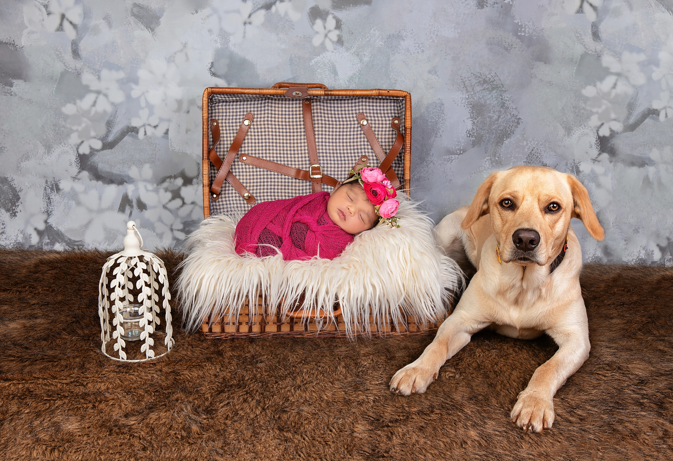 Indian African baby girl with dog Labrador newborn photo shoot Nairobi Mombasa Kenya
