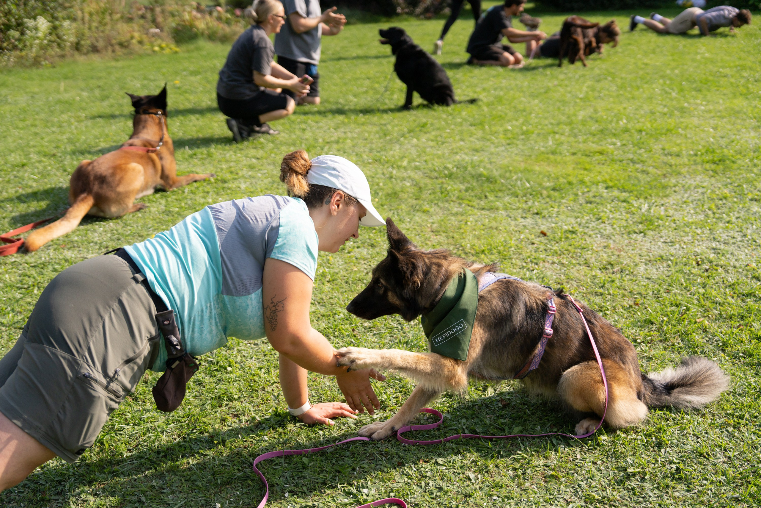 Heppi Dogo fest 2025. Vita Klimaševska ○ Fluffy Soulmate Photography
