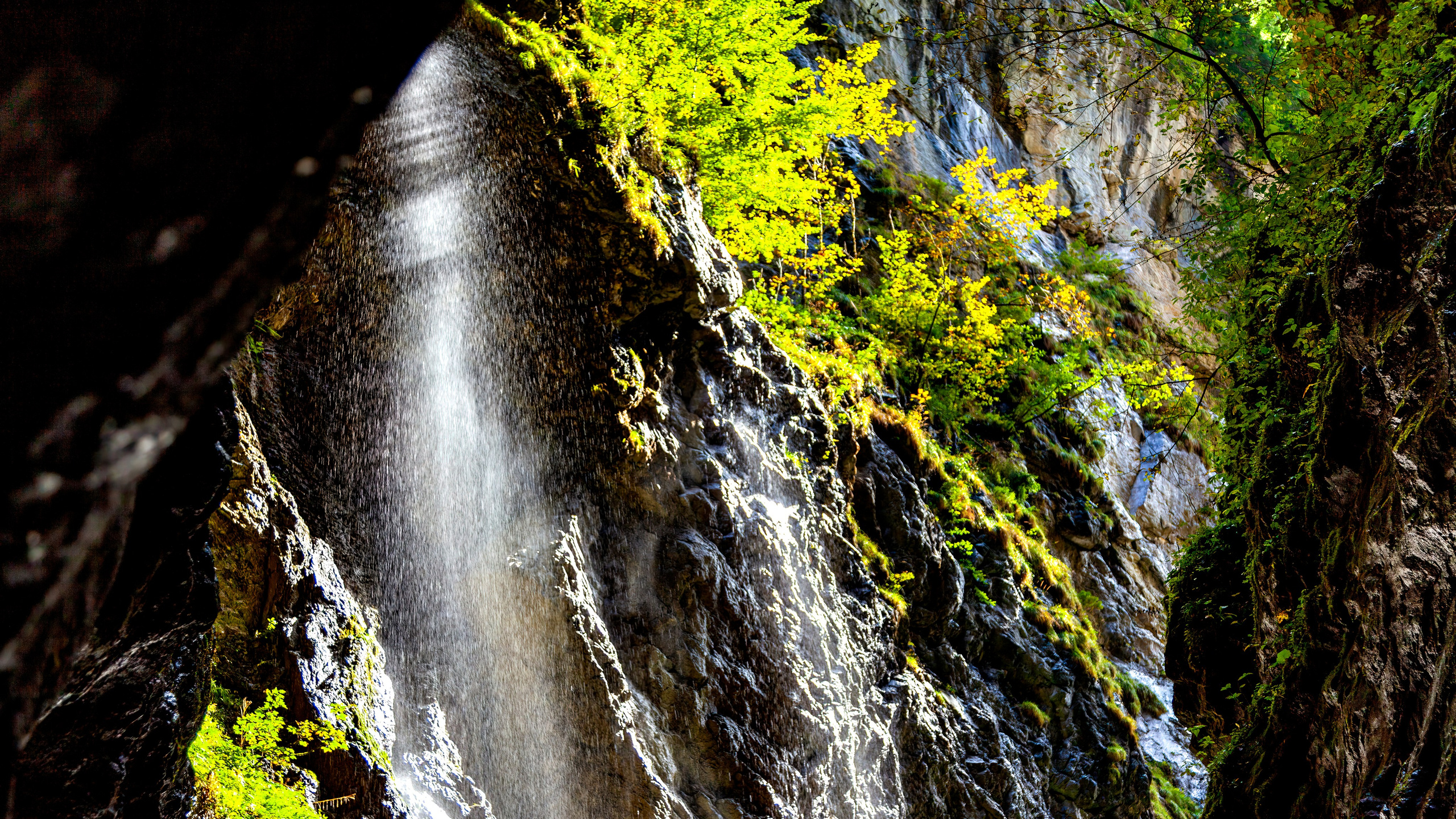 188.Partnachklamm Gorge.26.9.2024. Путешествия в формате 360......