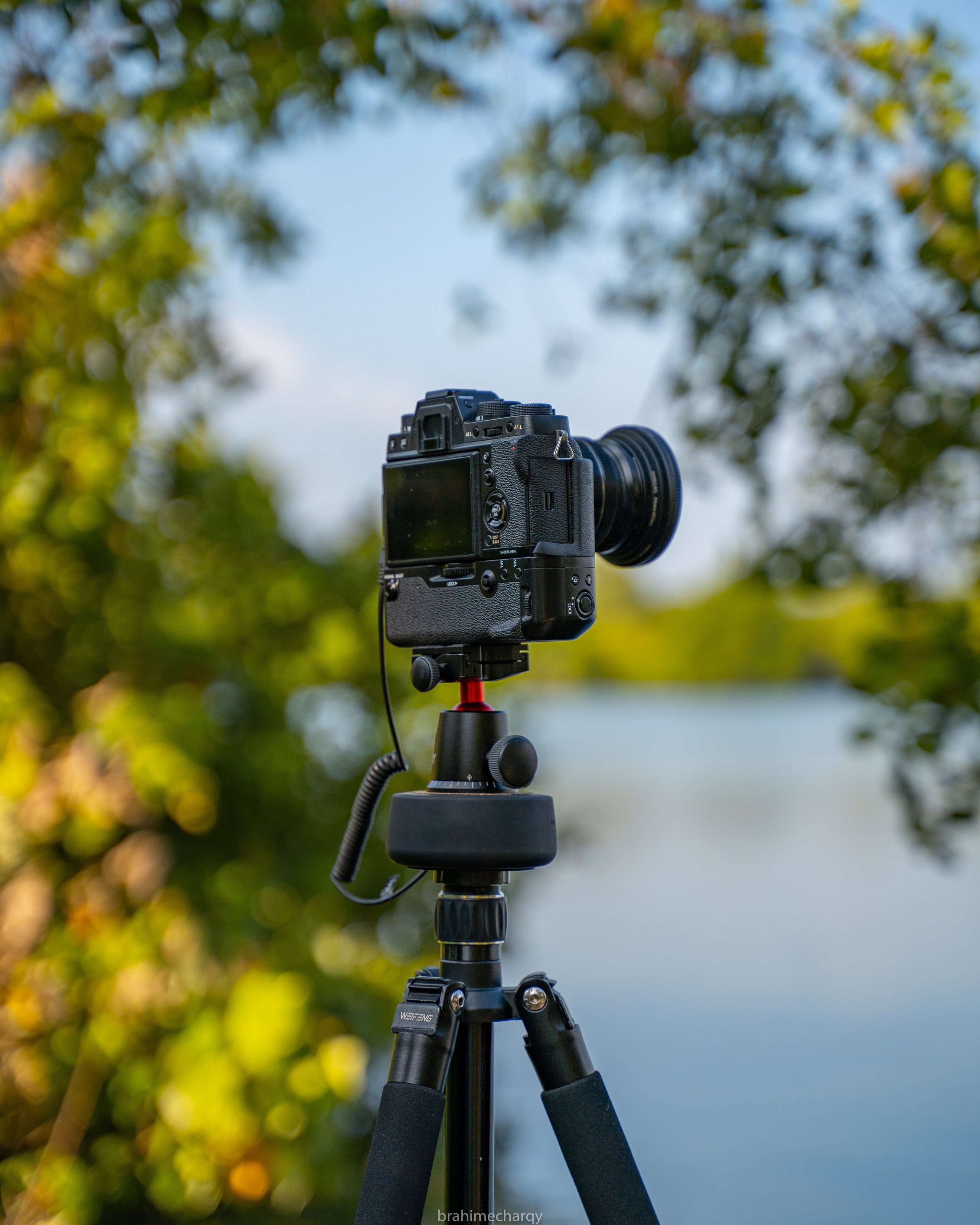 Предложения. Брахим — фотограф