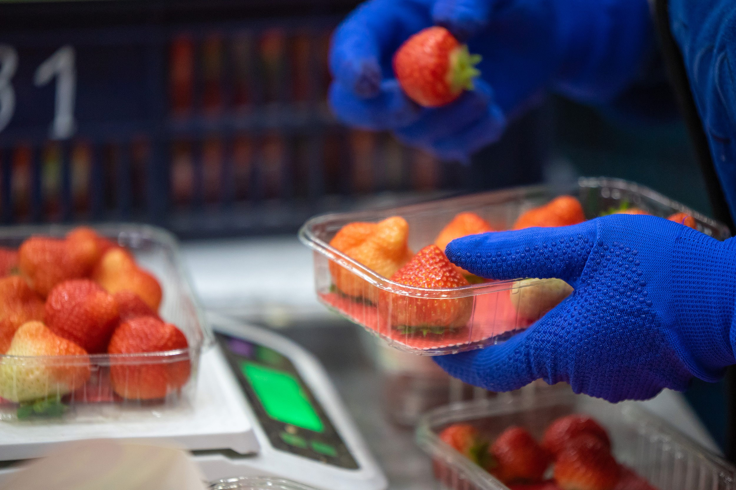 Rockberry. Фотограф в Ереване