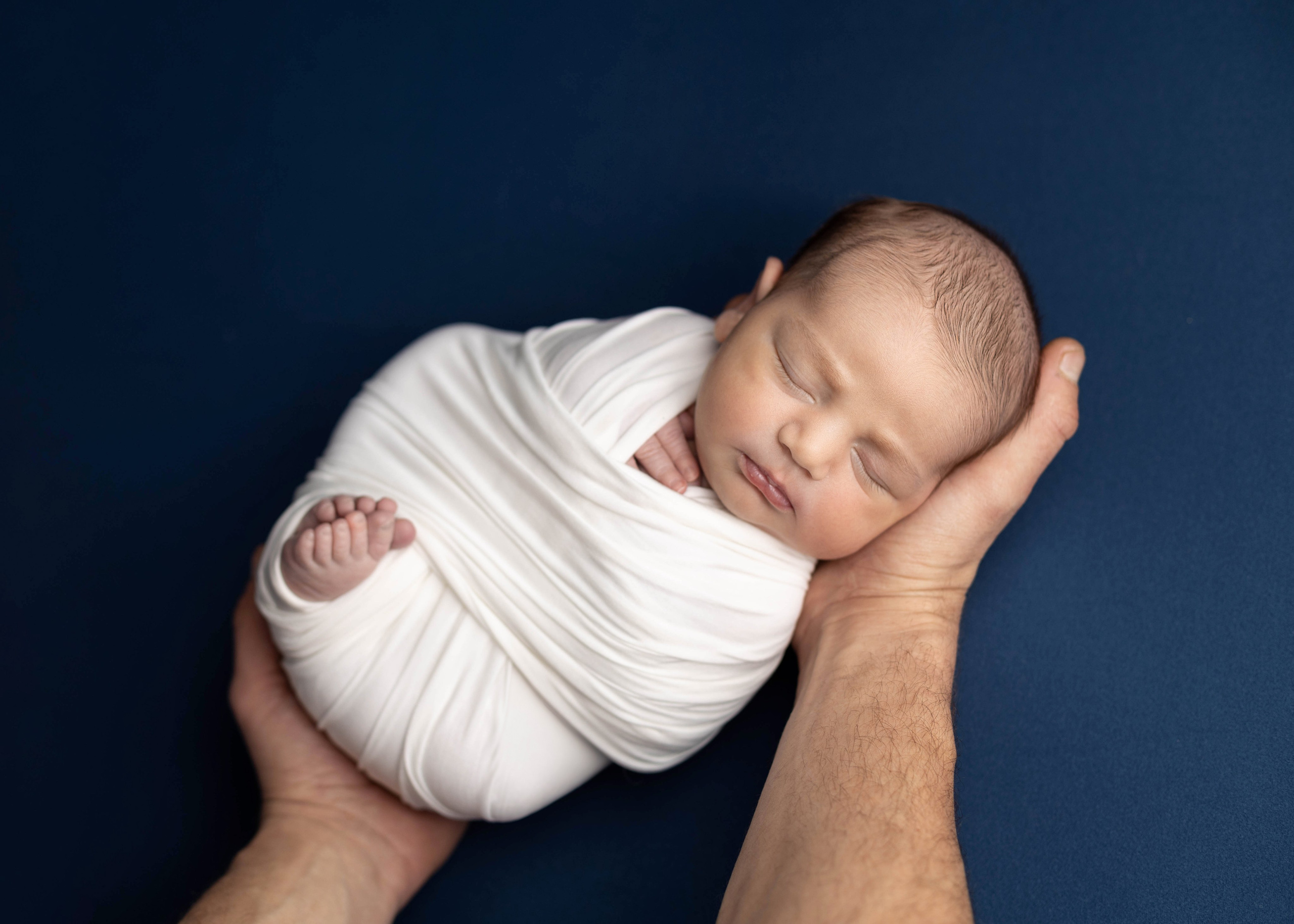 Каталог 23 Newborn. Катерина Шустерман — фотограф Newborn, семейный в Израиле