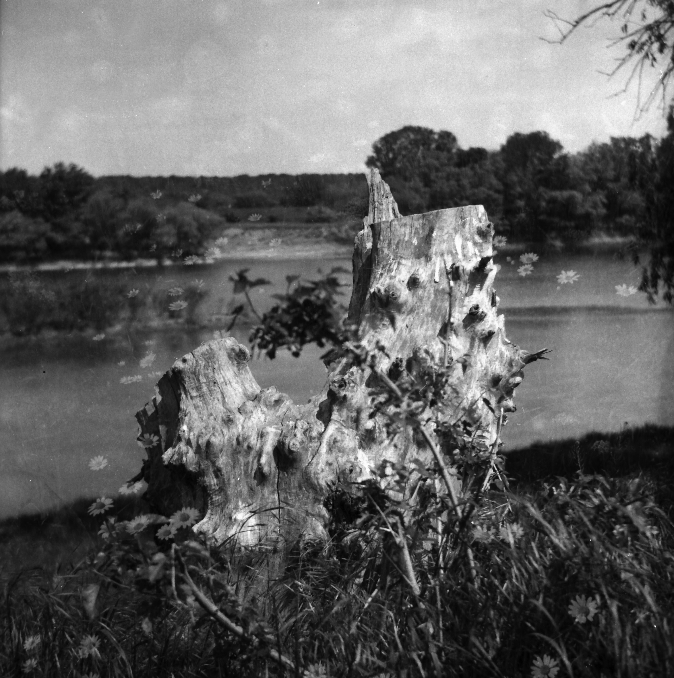 Tender Infinite Souls. Natalia Parfenova visual artist film photographer