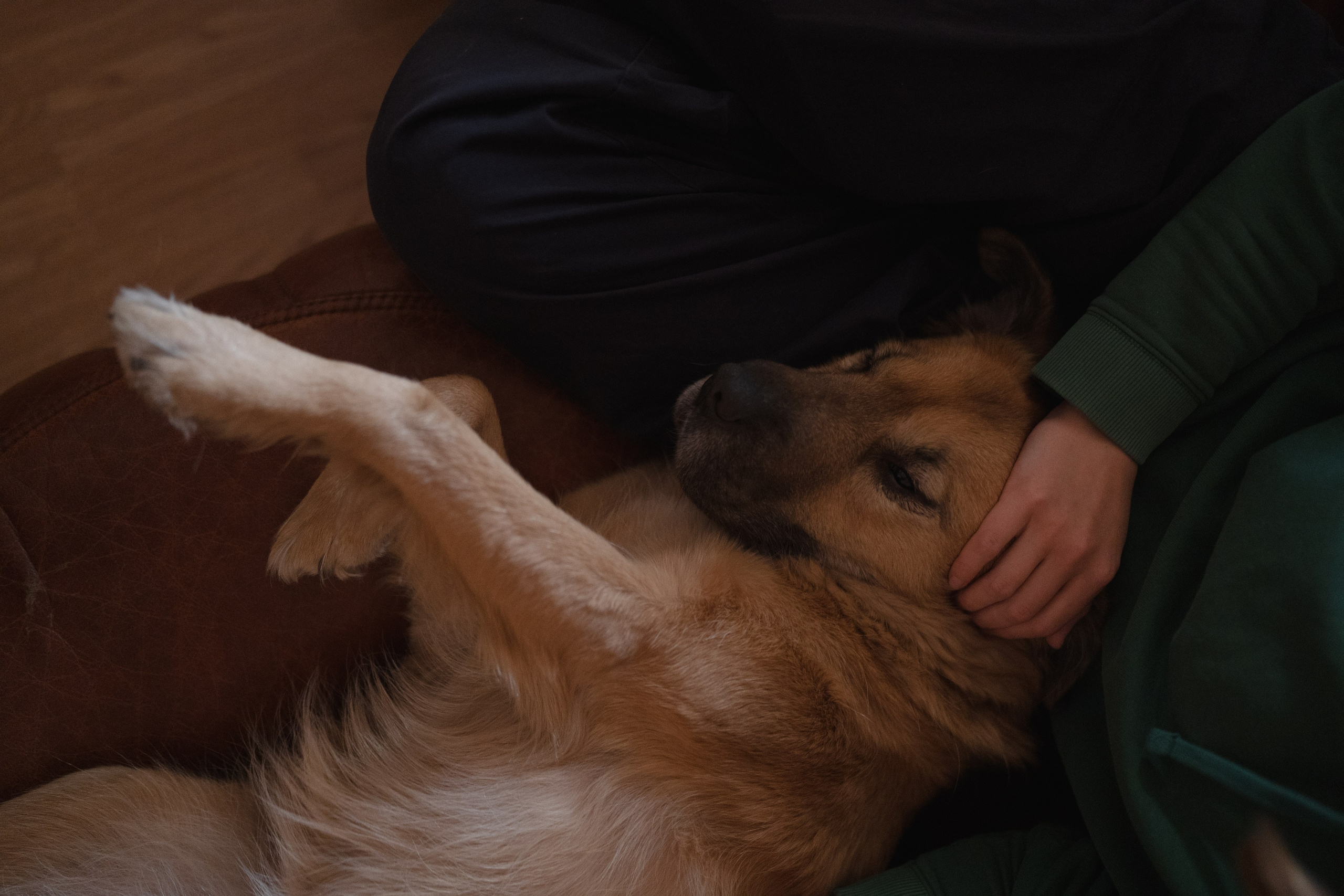 Alena, Vlad and their son Lev. Main